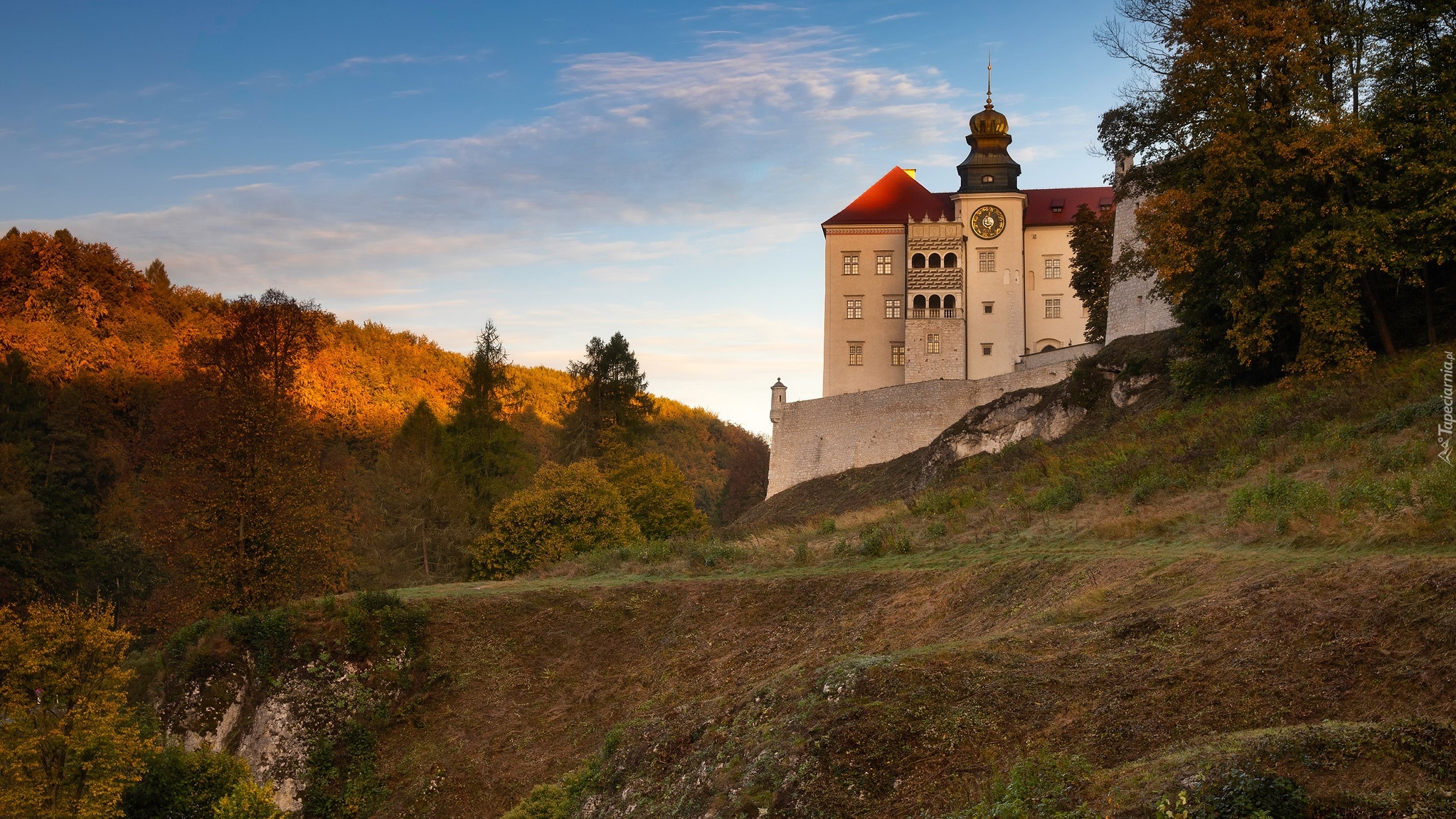 Wzgórze, Las, Zamek Pieskowa Skała, Ojcowski Park Narodowy, Jesień, Polska