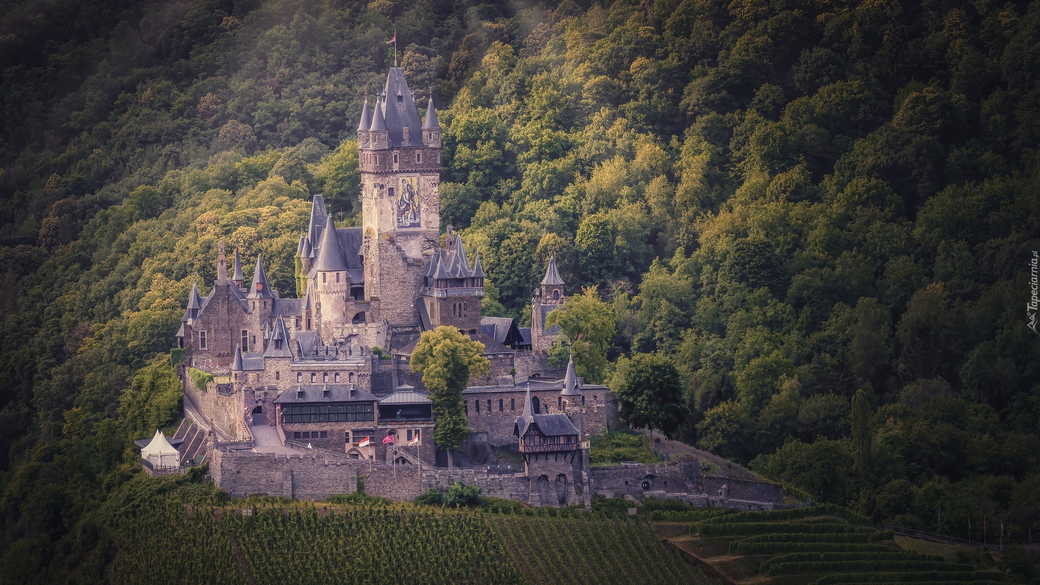 Zamek Reichsburg, Las, Gmina Cochem, Niemcy