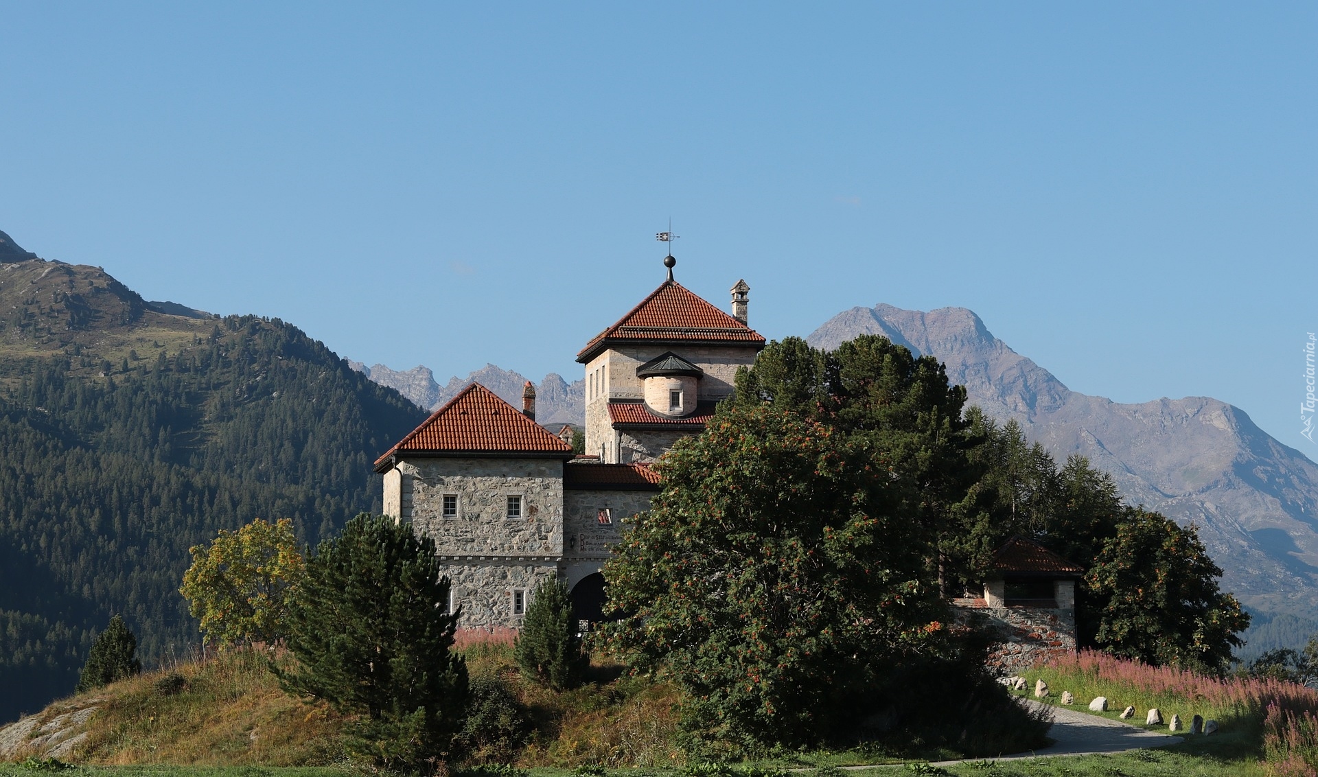 Zamek Schloss Crap da Sass, Góry, Drzewa, Miejscowość Surlej, Silvaplana, Kanton Gryzonia, Szwajcaria