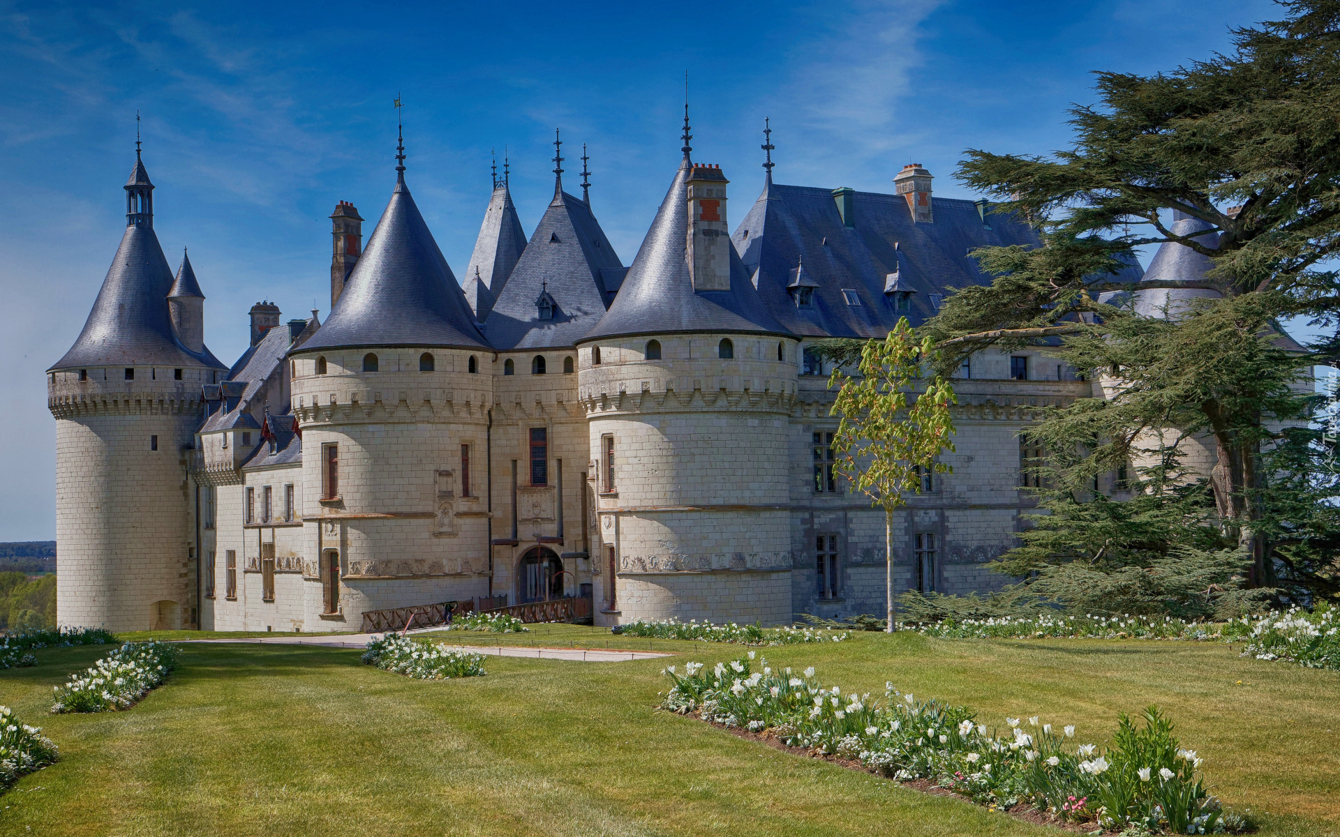 Zamek Chaumont, Park, Drzewa, Krzewy, Kwiaty, Chaumont sur Loire, Francja