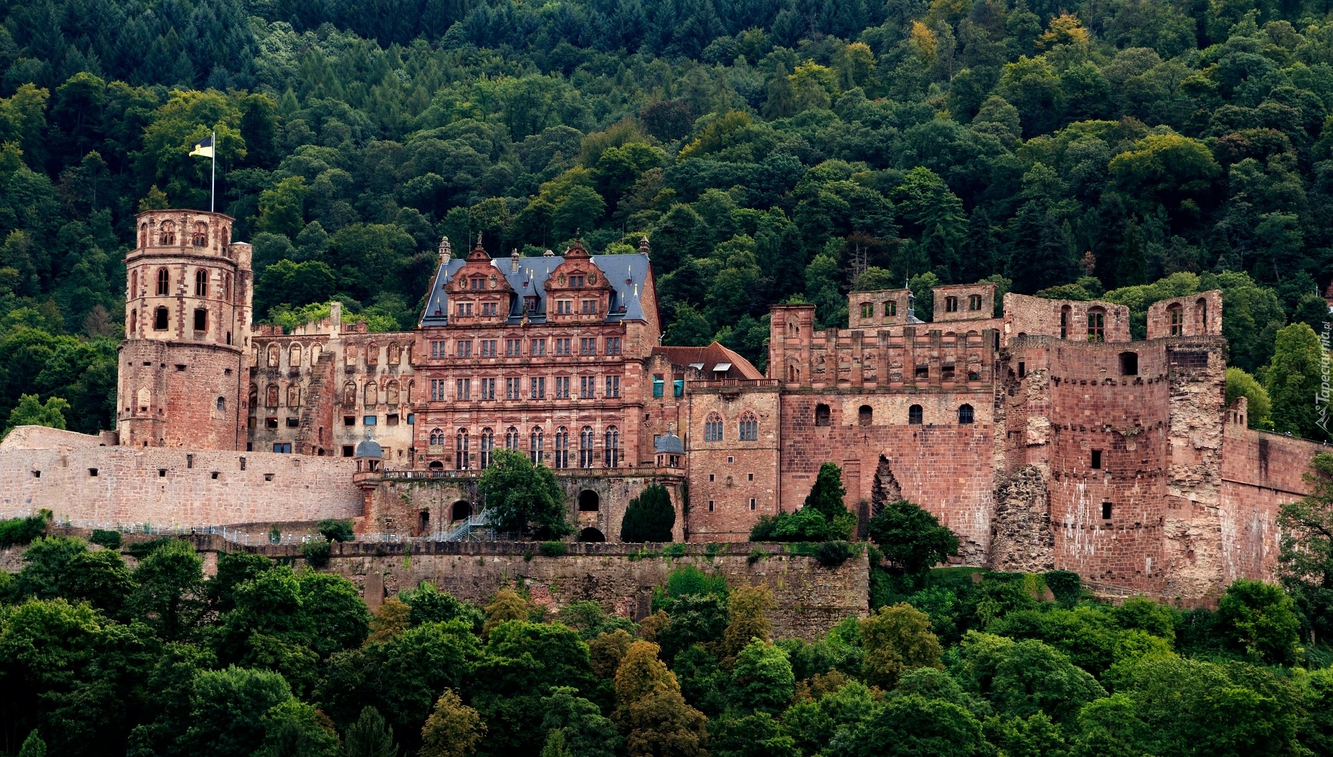 Zamek w Heidelbergu, Heidelberger Schloss, Drzewa, Heidelberg, Niemcy