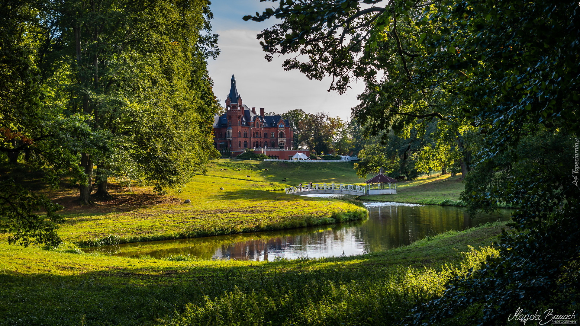 Zamek w Wąsowie, Park, Staw, Drzewa, Wąsowo, Województwo wielkopolskie, Polska