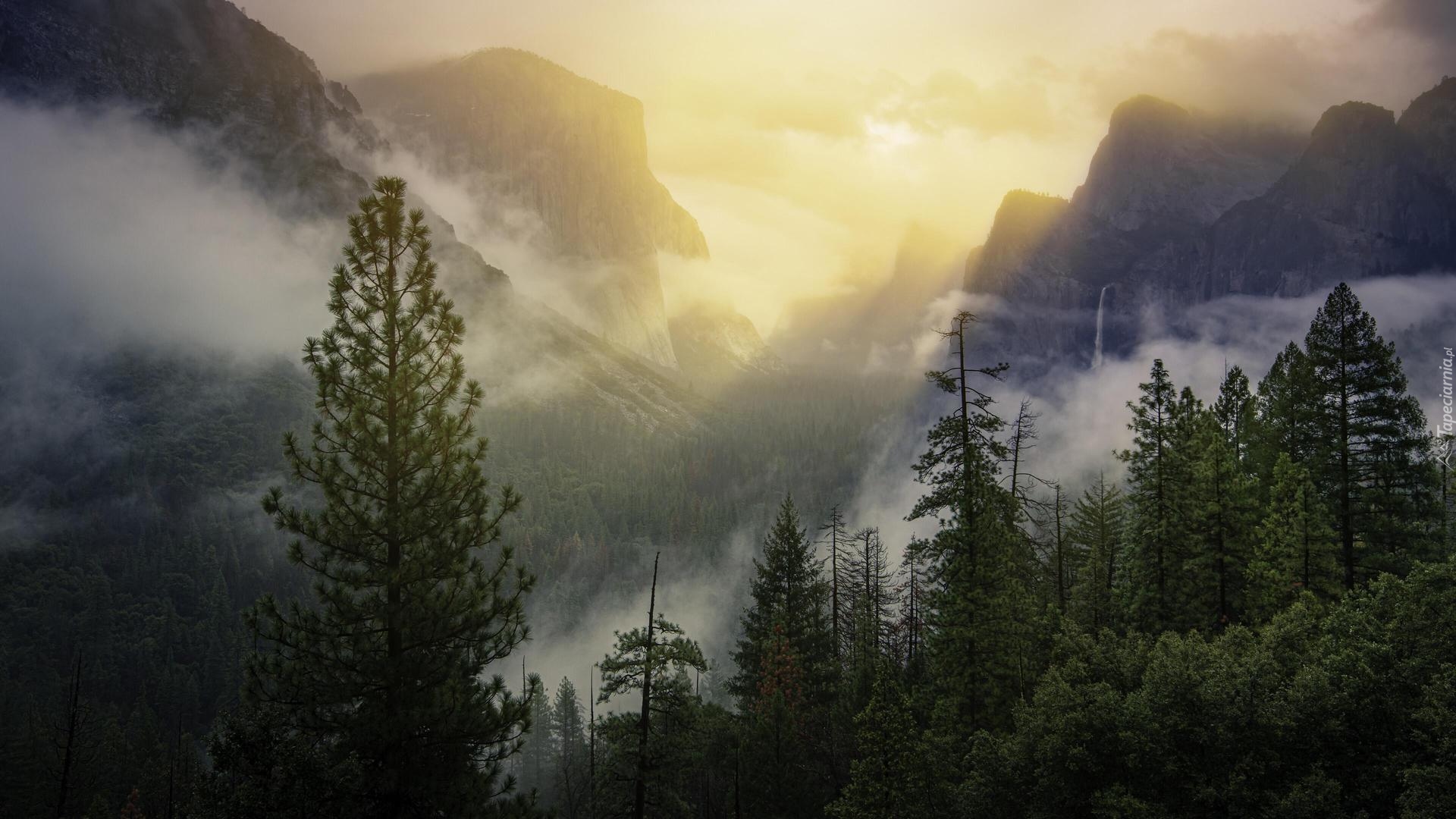 Dolina, Yosemite Valley, Park Narodowy Yosemite, Mgła, Góry, Drzewa, Lasy, Stan Kalifornia, Stany Zjednoczone