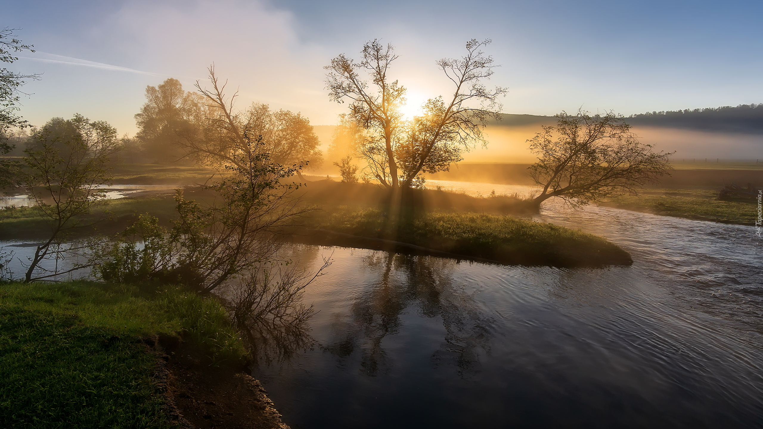 Rzeka, Drzewa, Wschód słońca, Poranek, Mgła