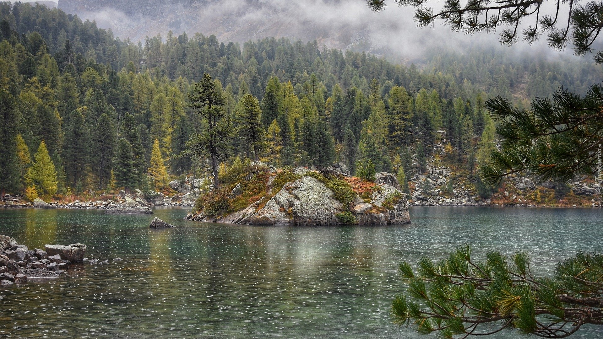 Jezioro Bergsee, Skała, Wysepka, Drzewa, Las, Kanton Berno, Szwajcaria