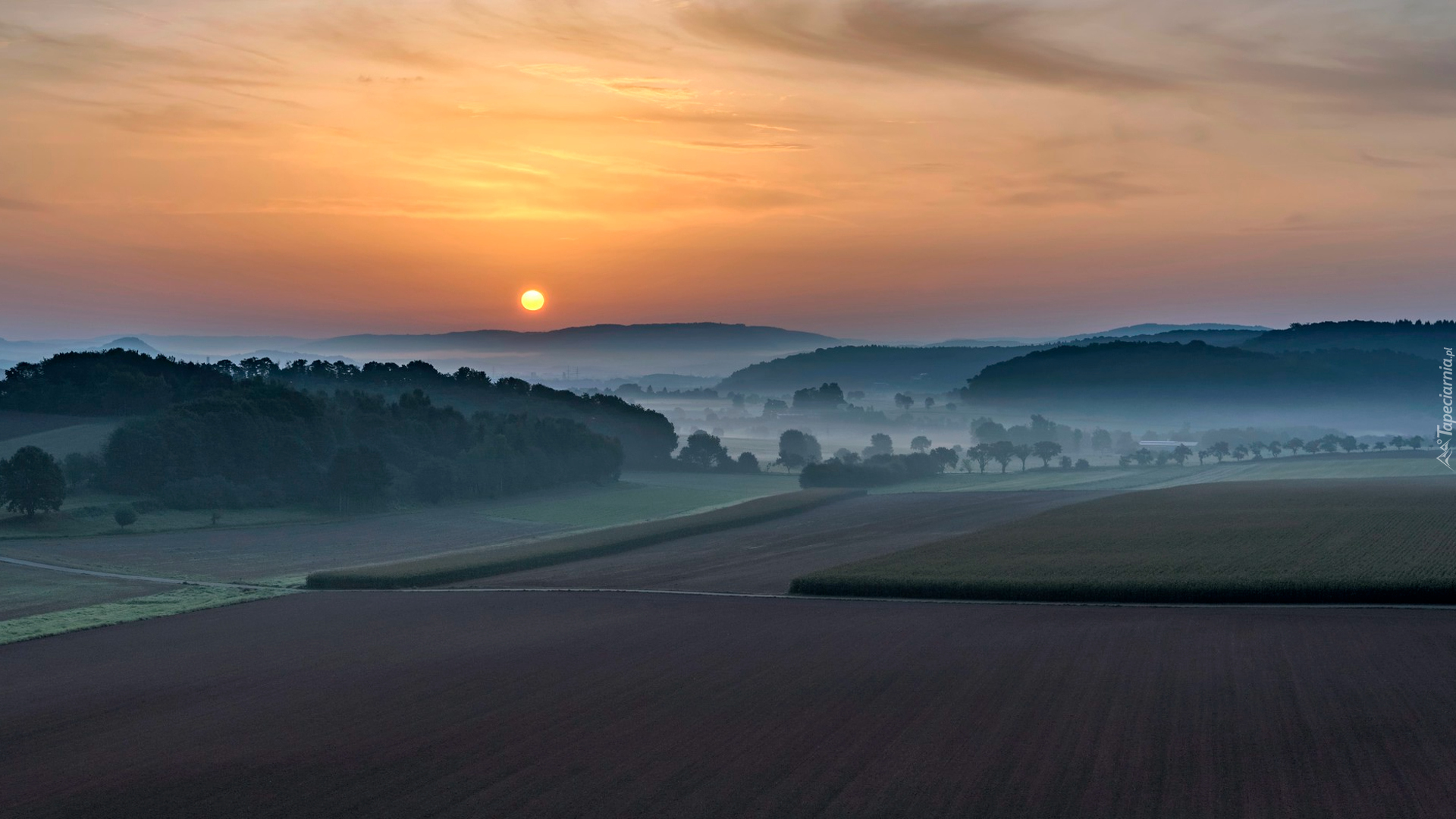 Pola, Dolina, Drzewa, Mgła, Wschód słońca, Góry