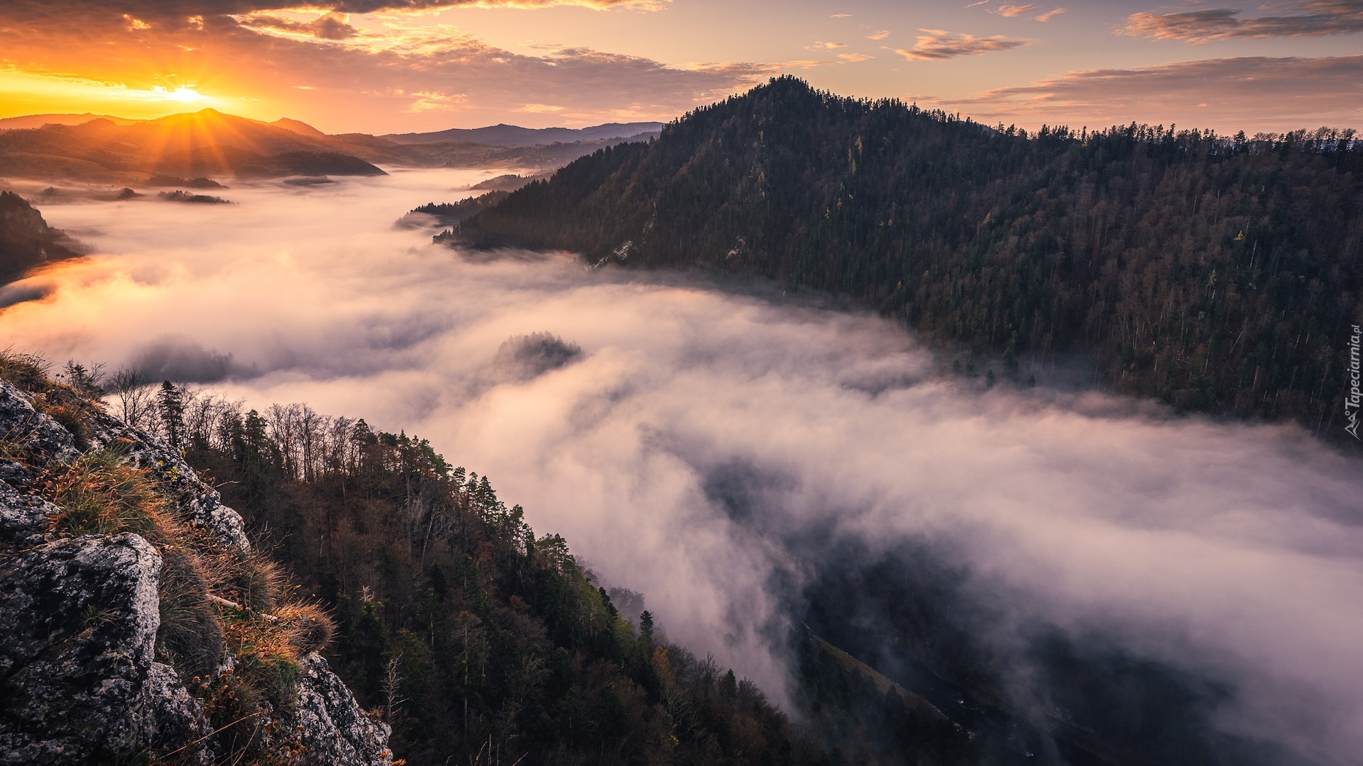 Polska, Góry, Pieniny, Wschód słońca, Skały, Mgła