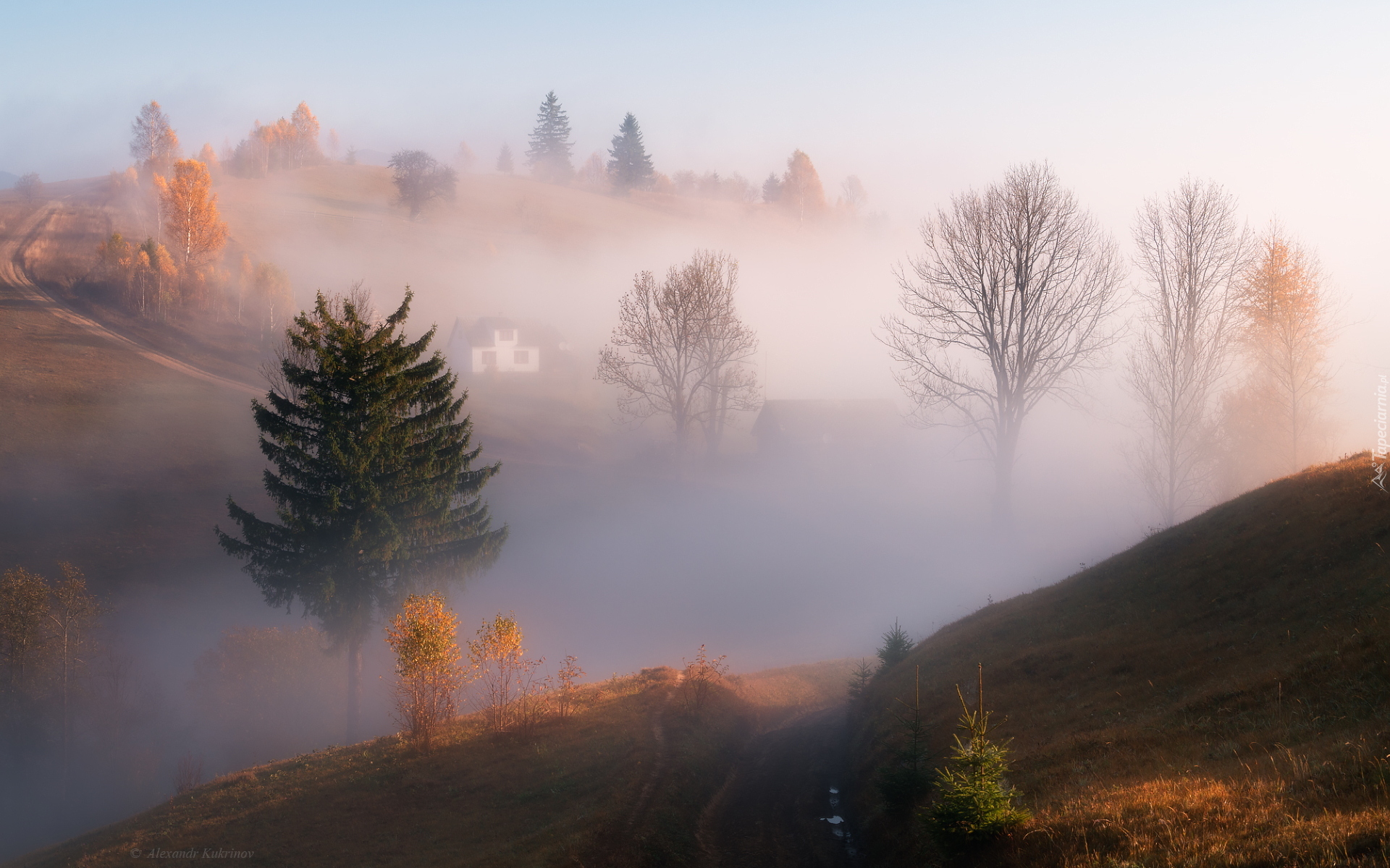 Jesień, Drzewa, Wzgórza, Mgła, Dom