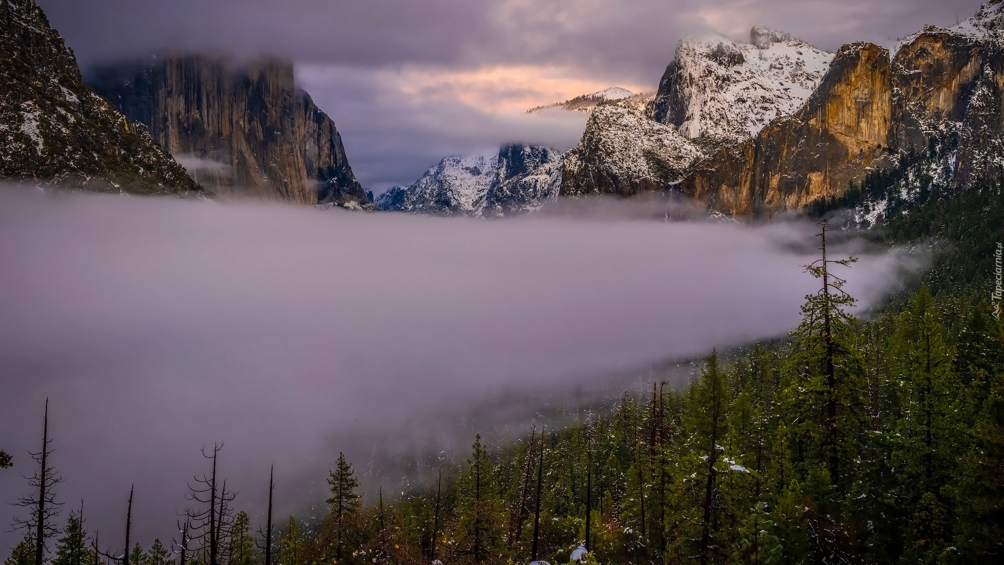 Góry, Mgła, Drzewa, Park Narodowy Yosemite, Kalifornia, Stany Zjednoczone