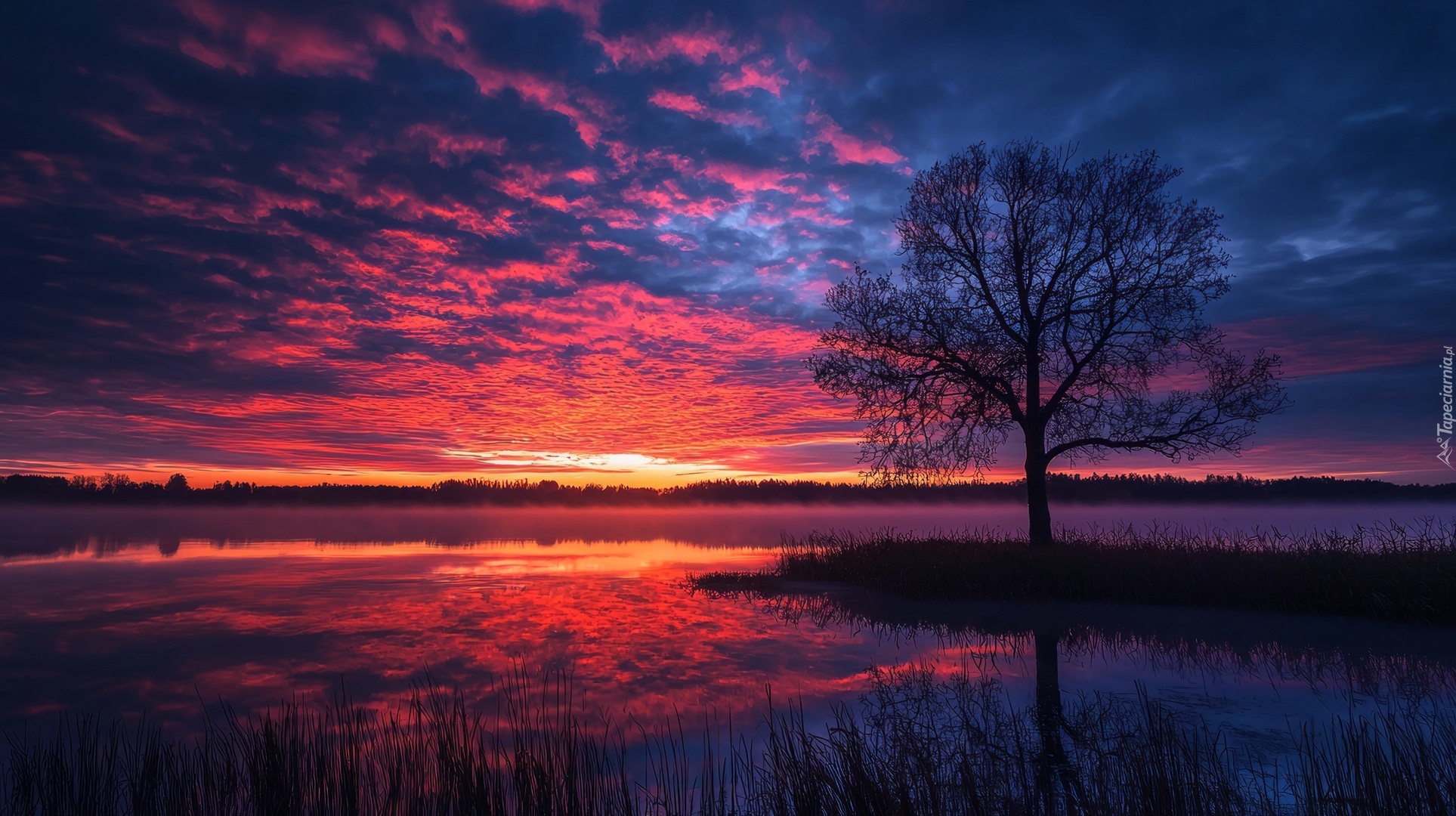 Jezioro, Drzewo, Zachód słońca, Grafika AI