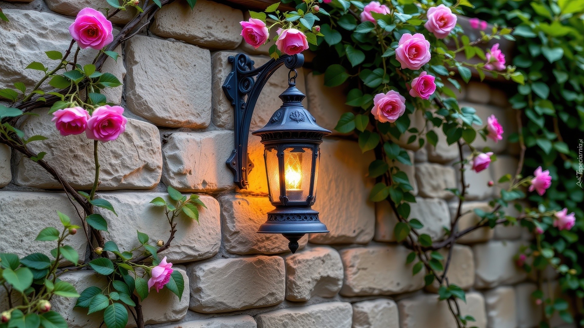 Murowana, Ściana, Kwiaty, Róże, Lampa