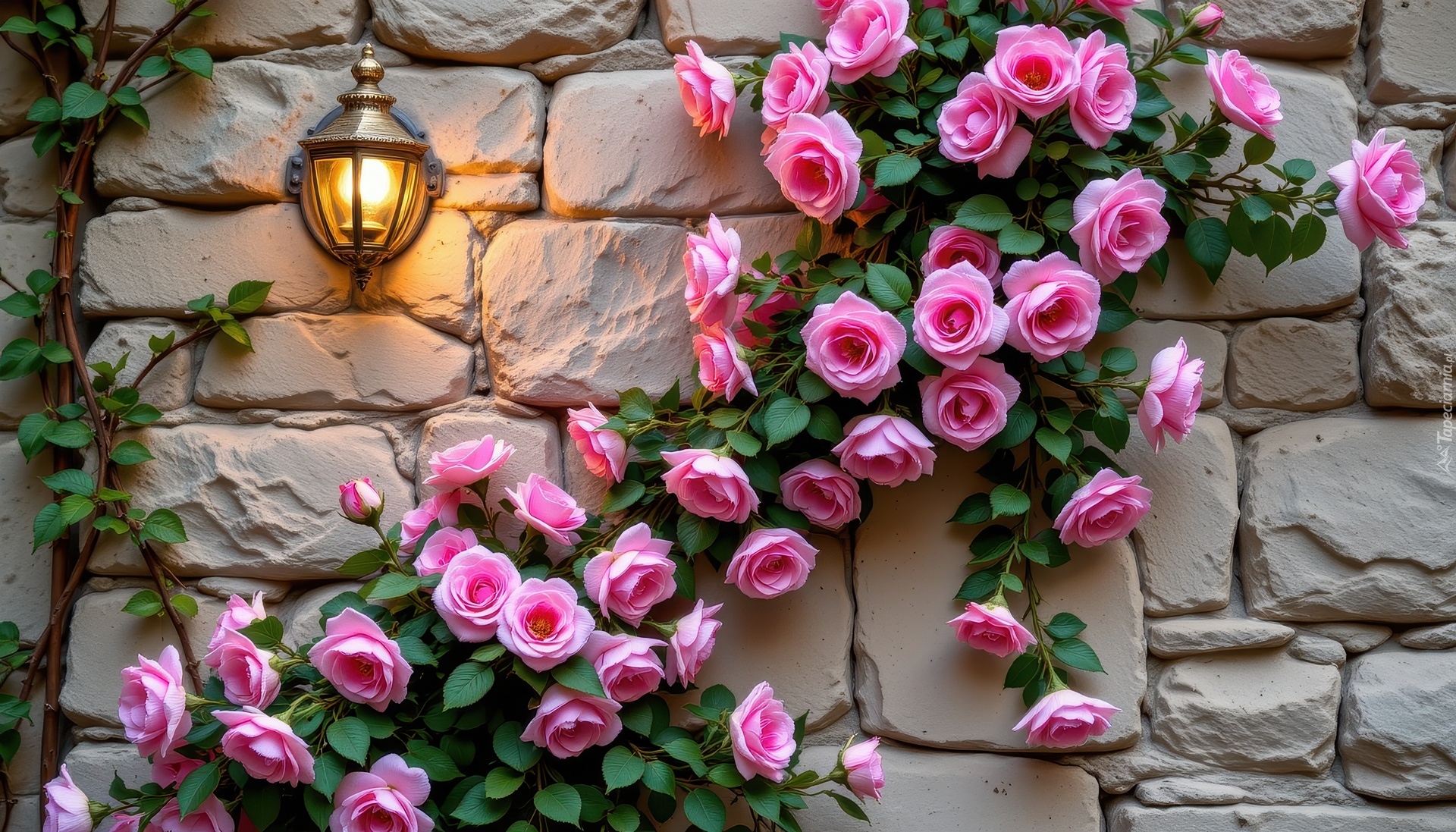 Róże, Kwiaty, Ściana, Lampa, Grafika AI