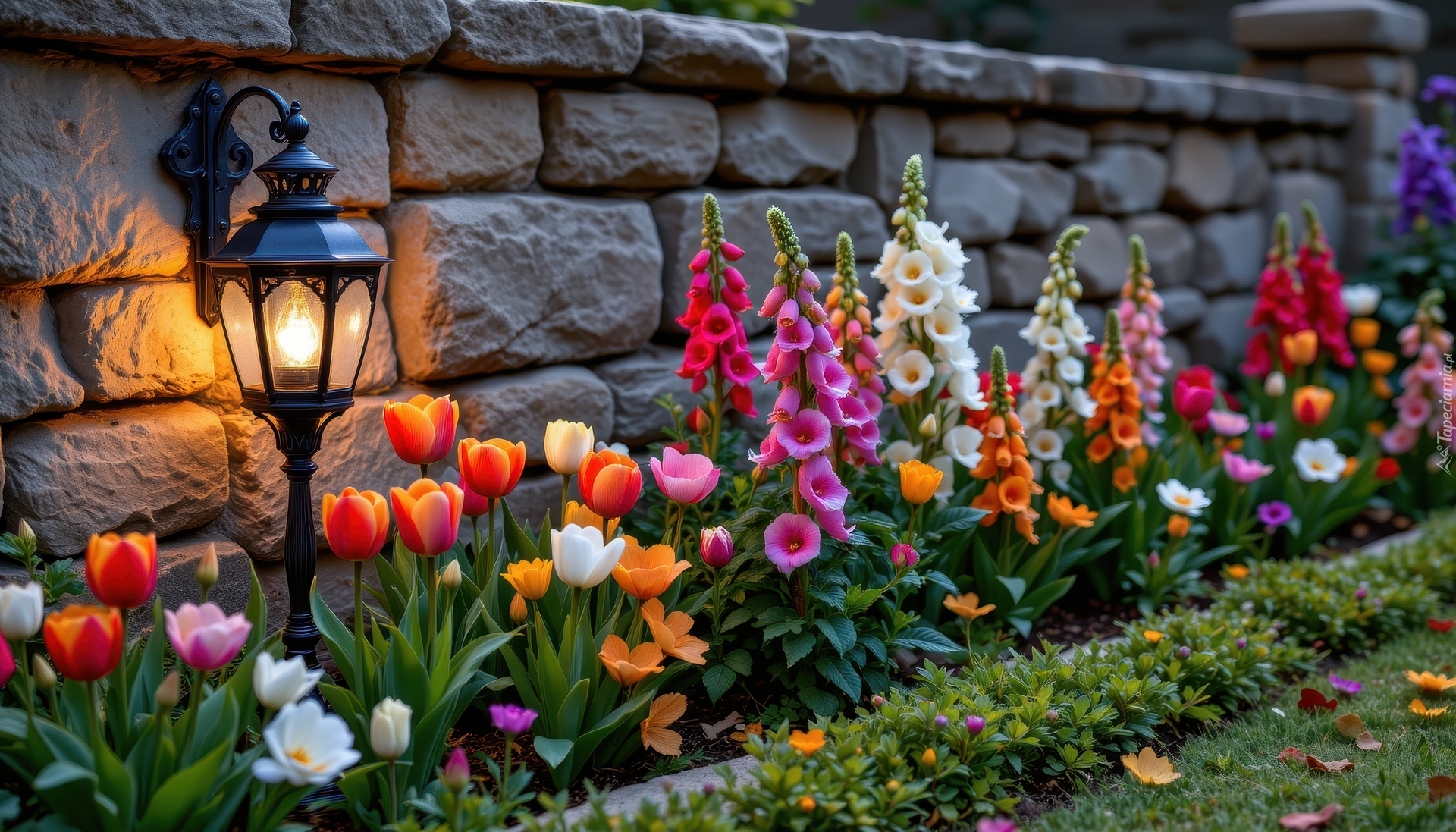 Latarnia, Kolorowe, Kwiaty, Tulipany, Naparstnica, Mur, Kamień, Ogród
