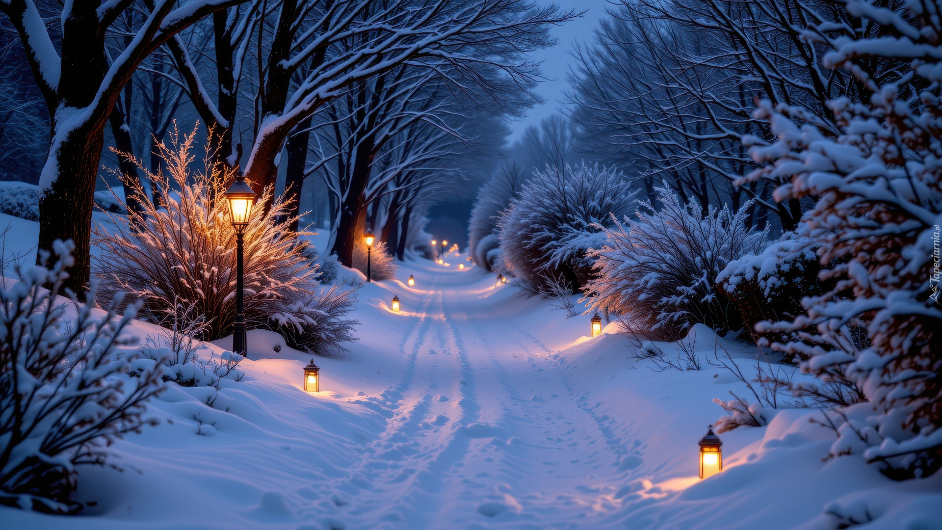 Zima, Zaśnieżona, Droga, Latarnie, Lampiony, Ośnieżone, Drzewa, Krzewy, Las, AI