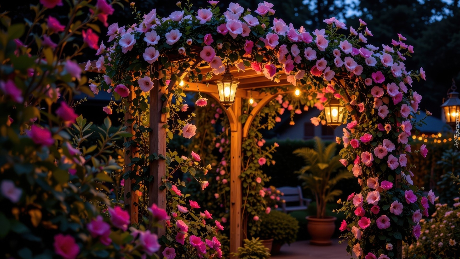 Ogród, Pergola, Ogrodowa, Różowe, Kwiaty, Latarnie