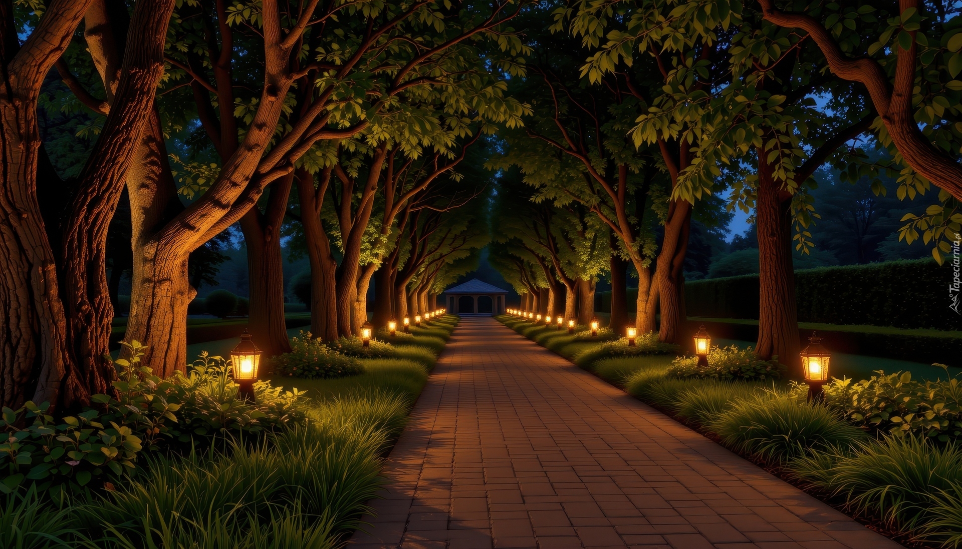 Latarnie, Drzewa, Noc, Park