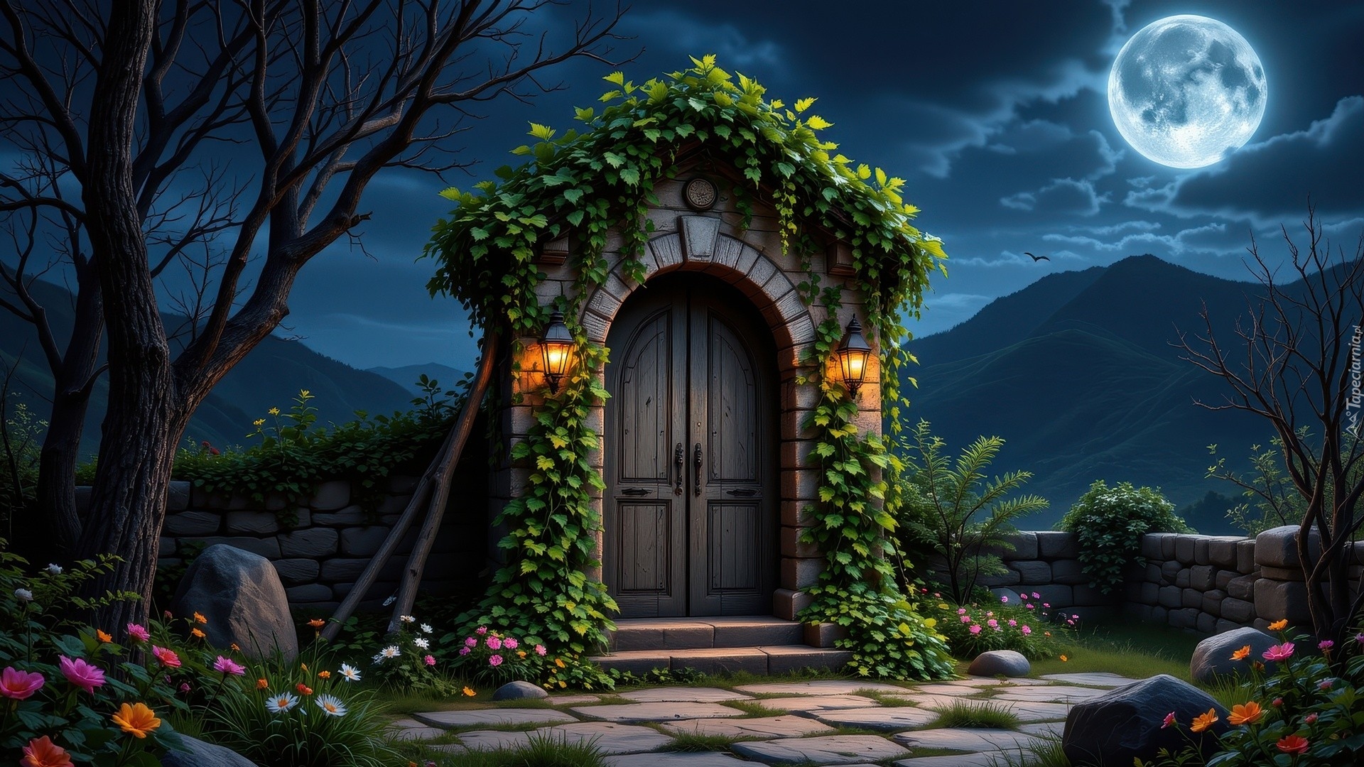Budowla, Noc, Księżyc, Drzwi, Rośliny, Kolorowe, Kwiaty, Murowane, Ogrodzenie, Kamienie