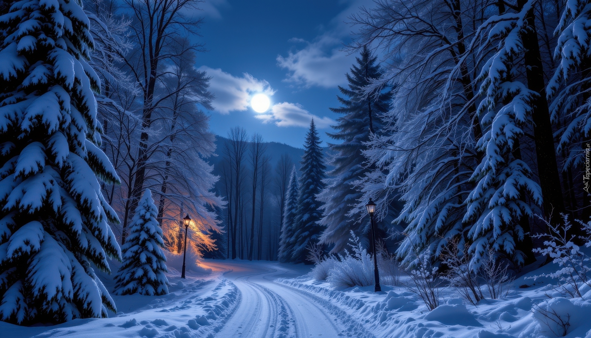 Zima, Droga, Ośnieżone, Drzewa, Światło, Księżyc
