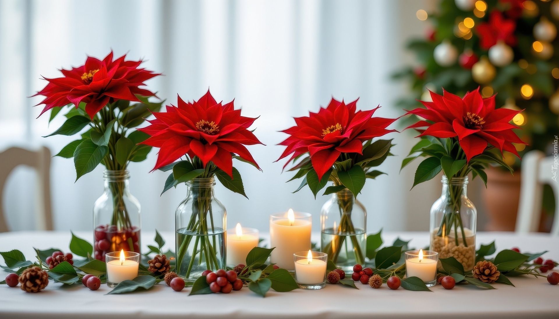 Gwiazda betlejemska, Butelki, Świece, Dekoracja