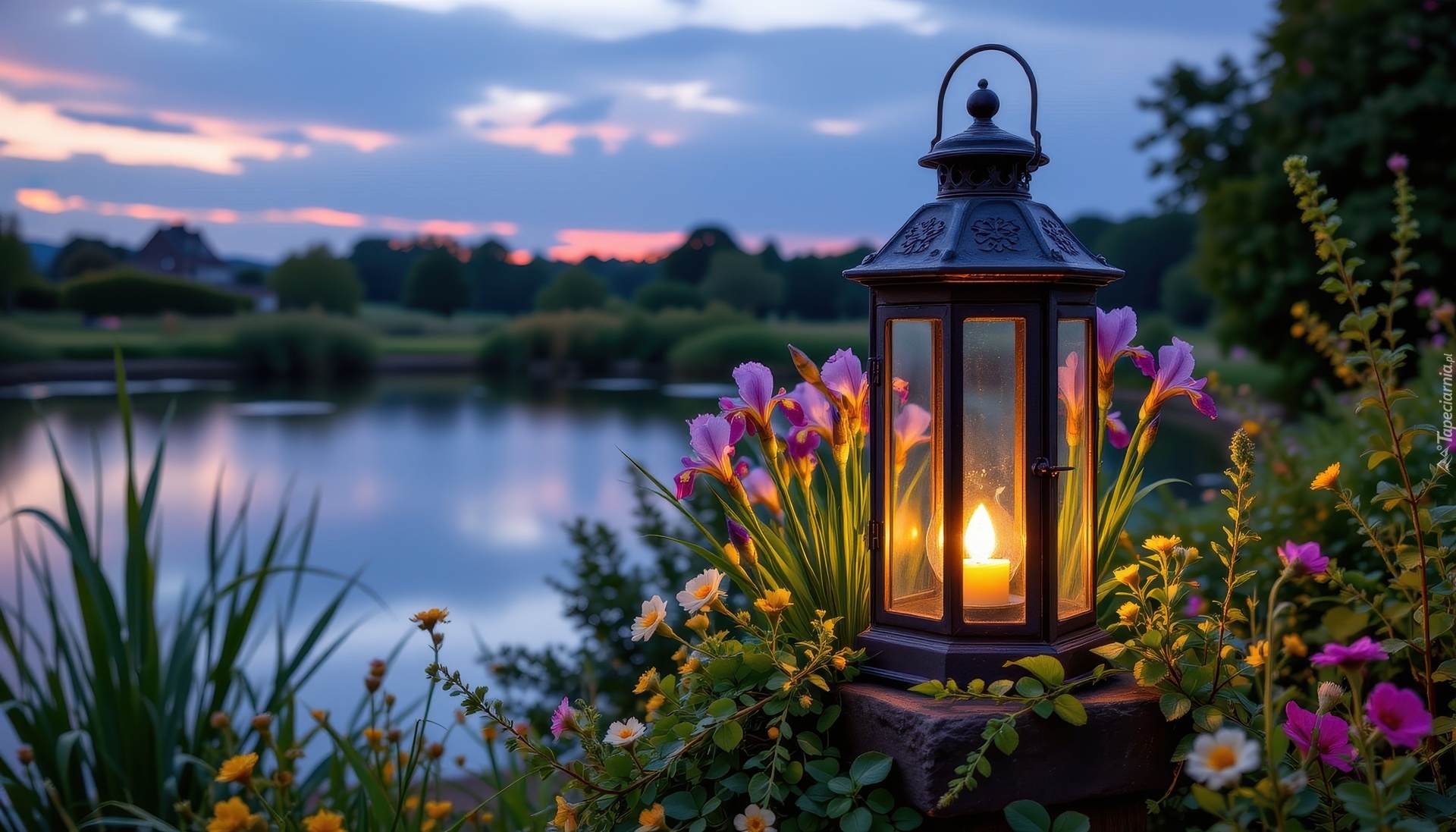 Lampion, Kwiaty, Staw, Grafika AI