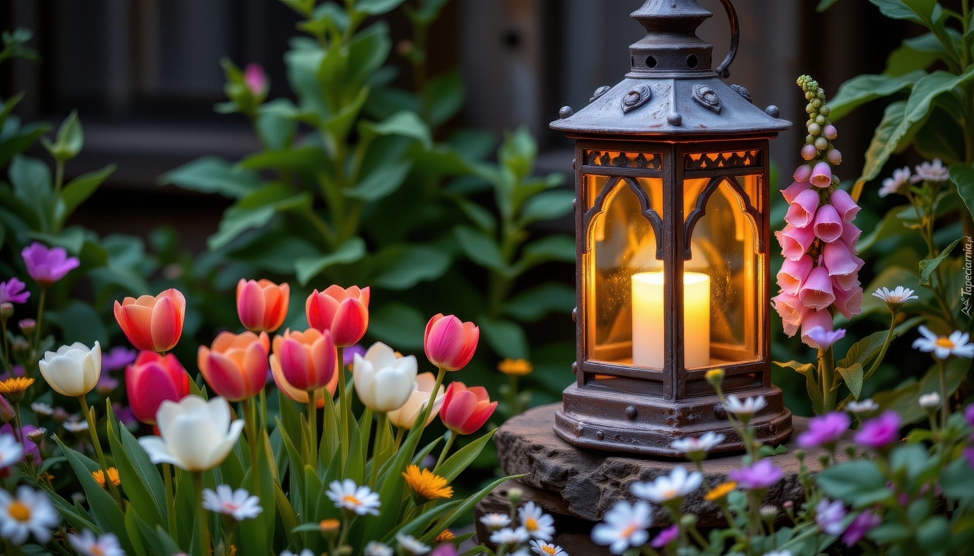Ogród, Lampion, Kamień, Kwiaty, Tulipany, Naparstnica, Stokrotki, AI