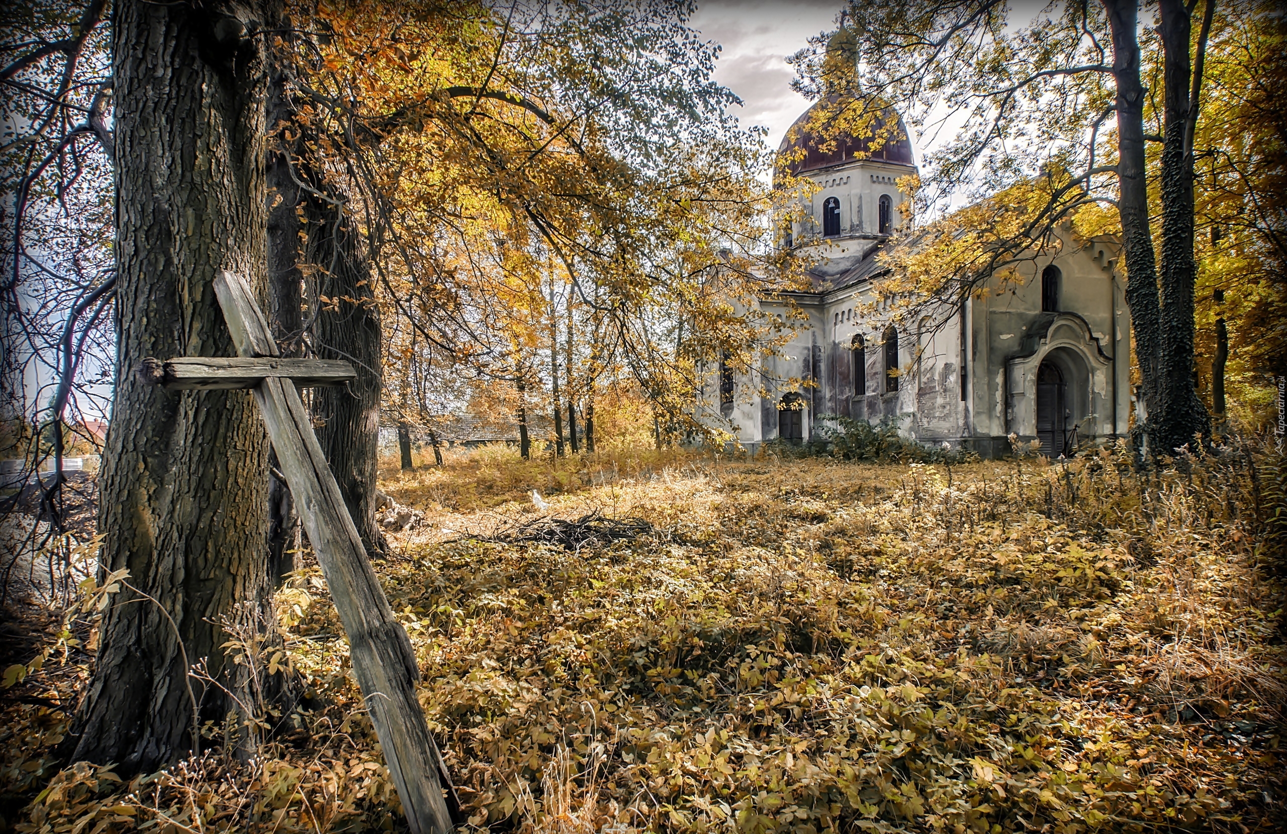 Cerkiew, Jesień, Drzewa