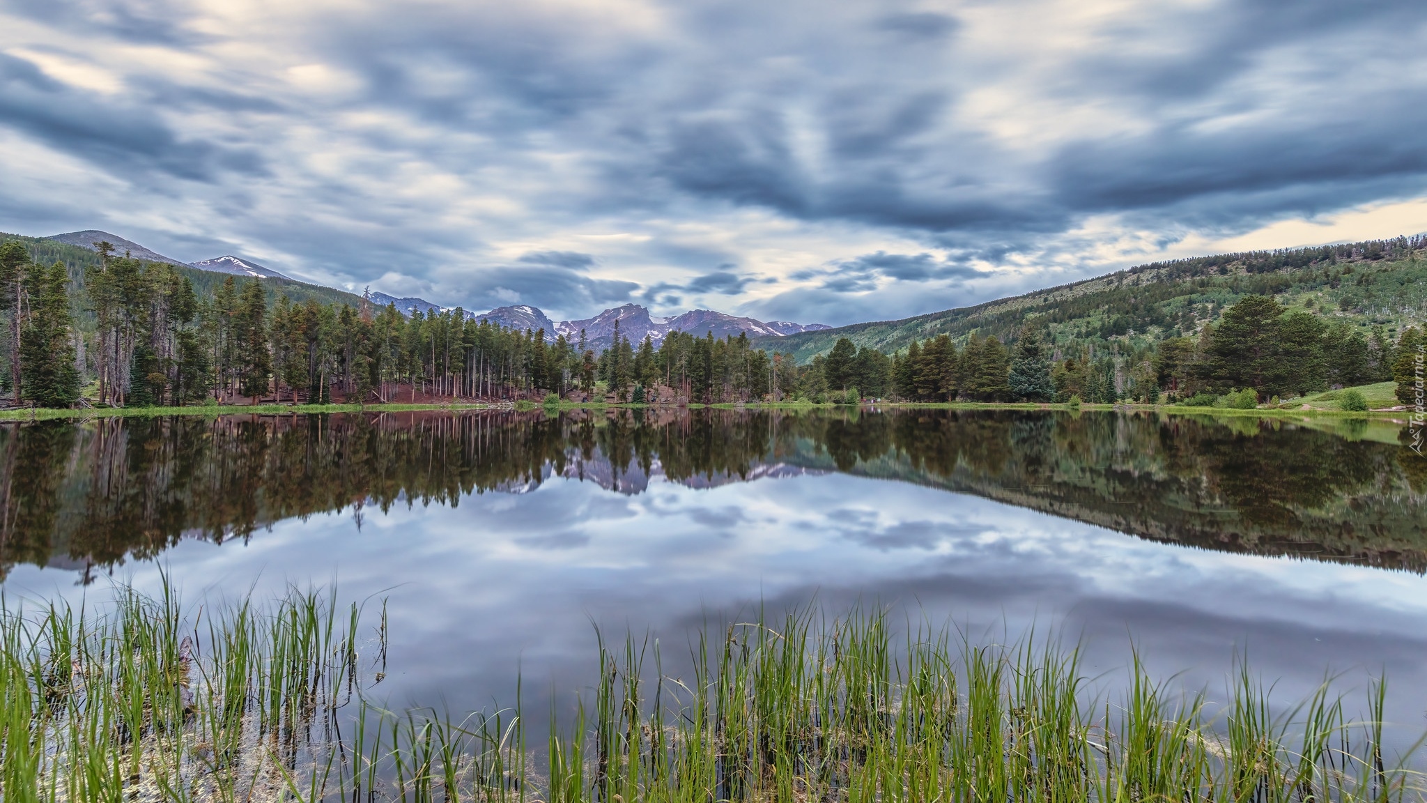 Stany Zjednoczone, Kolorado, Park Narodowy Gór Skalistych, Jezioro, Spraque Lake, Drzewa, Szuwary