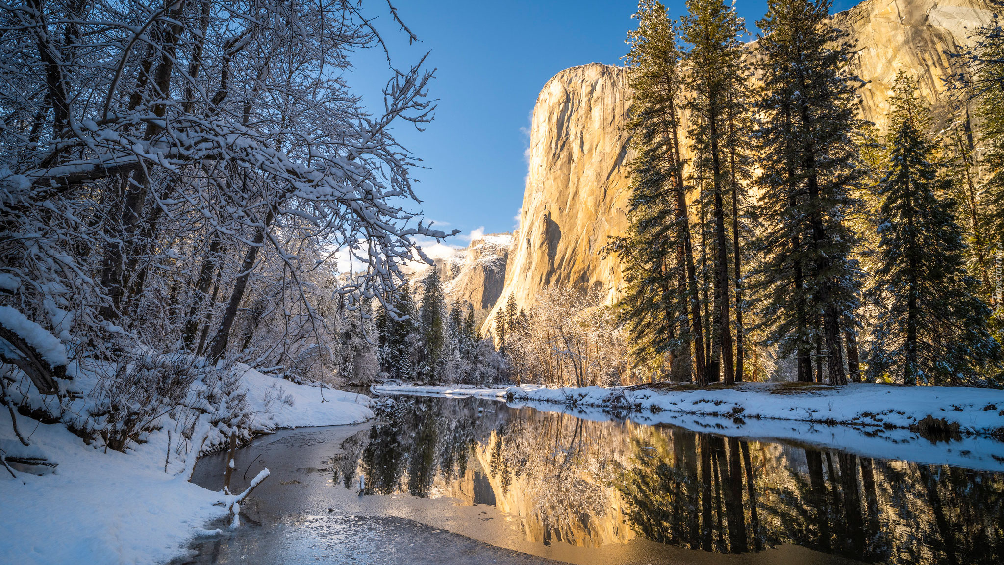 Zima, Drzewa, Rzeka, Merced, Park Narodowy Yosemite, Kalifornia, Stany Zjednoczone