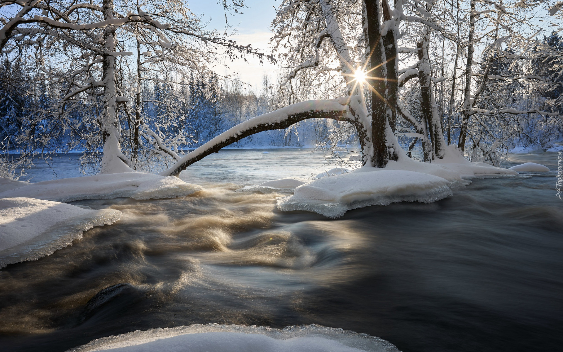 Zima, Śnieg, Drzewa, Rzeka, Promienie słońca