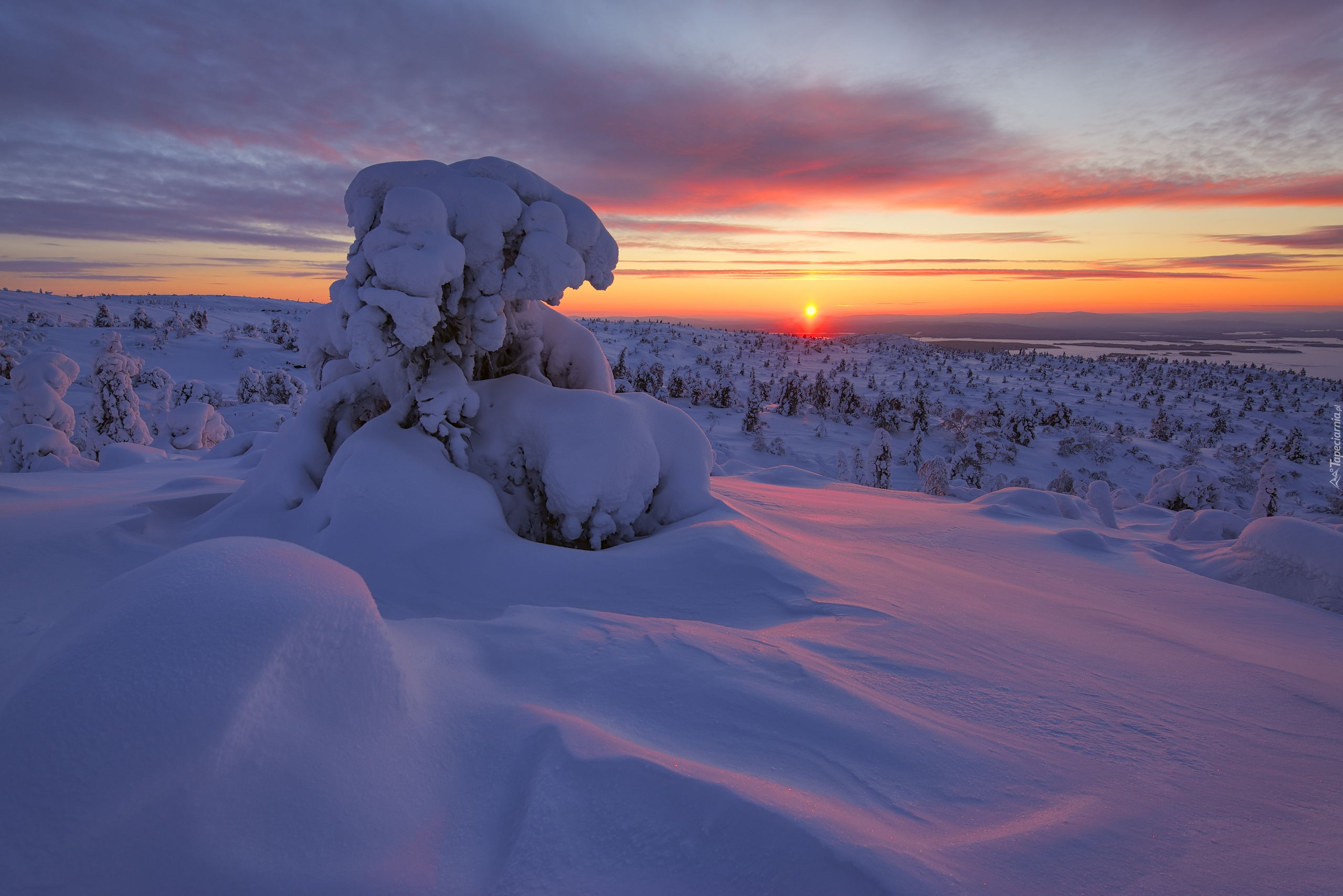 Zima, Śnieg, Zachód słońca, Wieczór, Drzewa, Zatoka Kandałaksza, Półwysep Kolski, Rosja