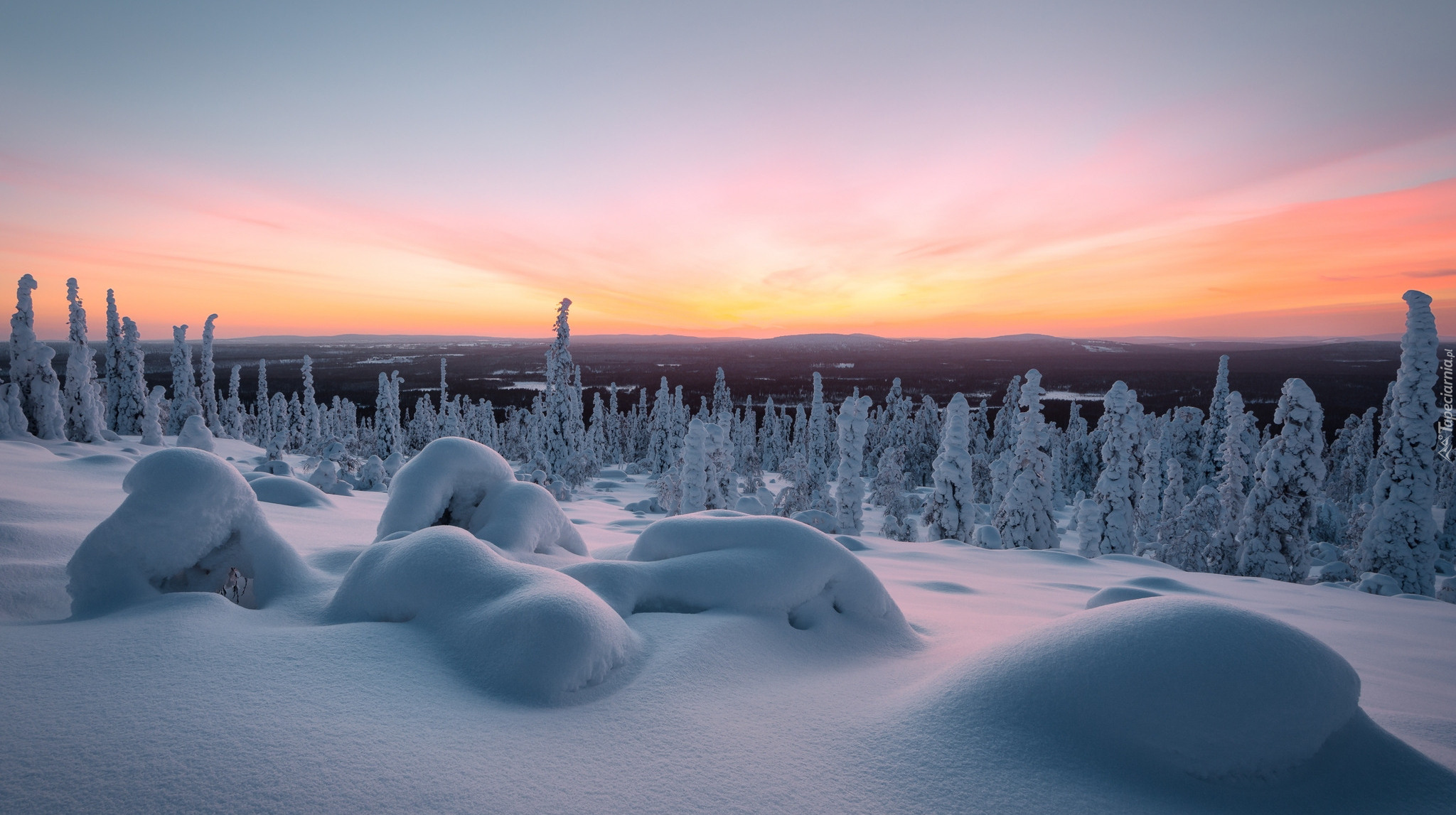 Zima, Śnieg, Drzewa, Góry, Laponia, Finlandia