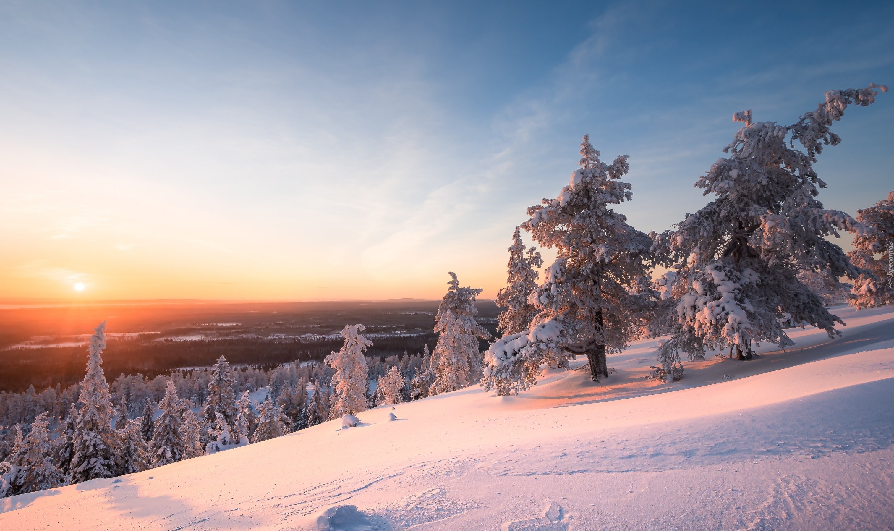 Zima, Drzewa, Zachód słońca, Park Narodowy Riisitunturi, Laponia, Finlandia