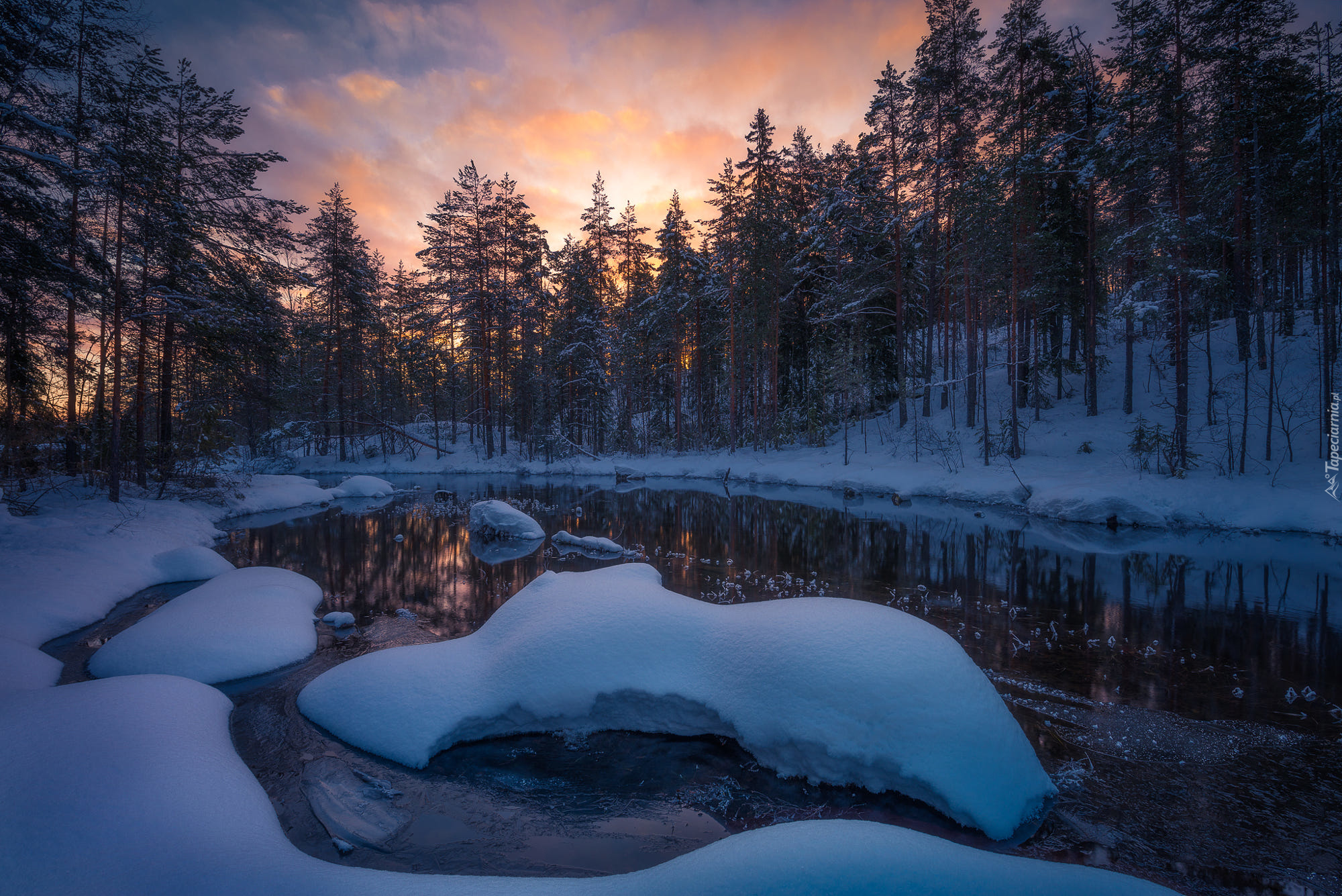 Norwegia, Gmina Ringerike, Drzewa, Zima, Śnieg, Jezioro