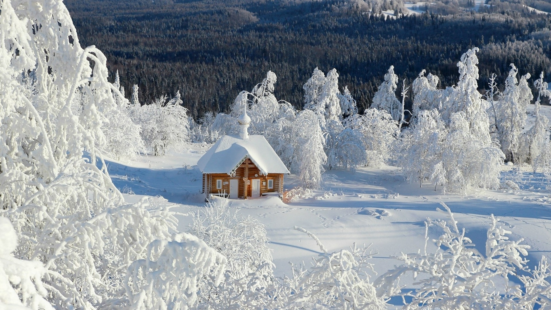 Dom, Śnieg, Zima, Drzewa