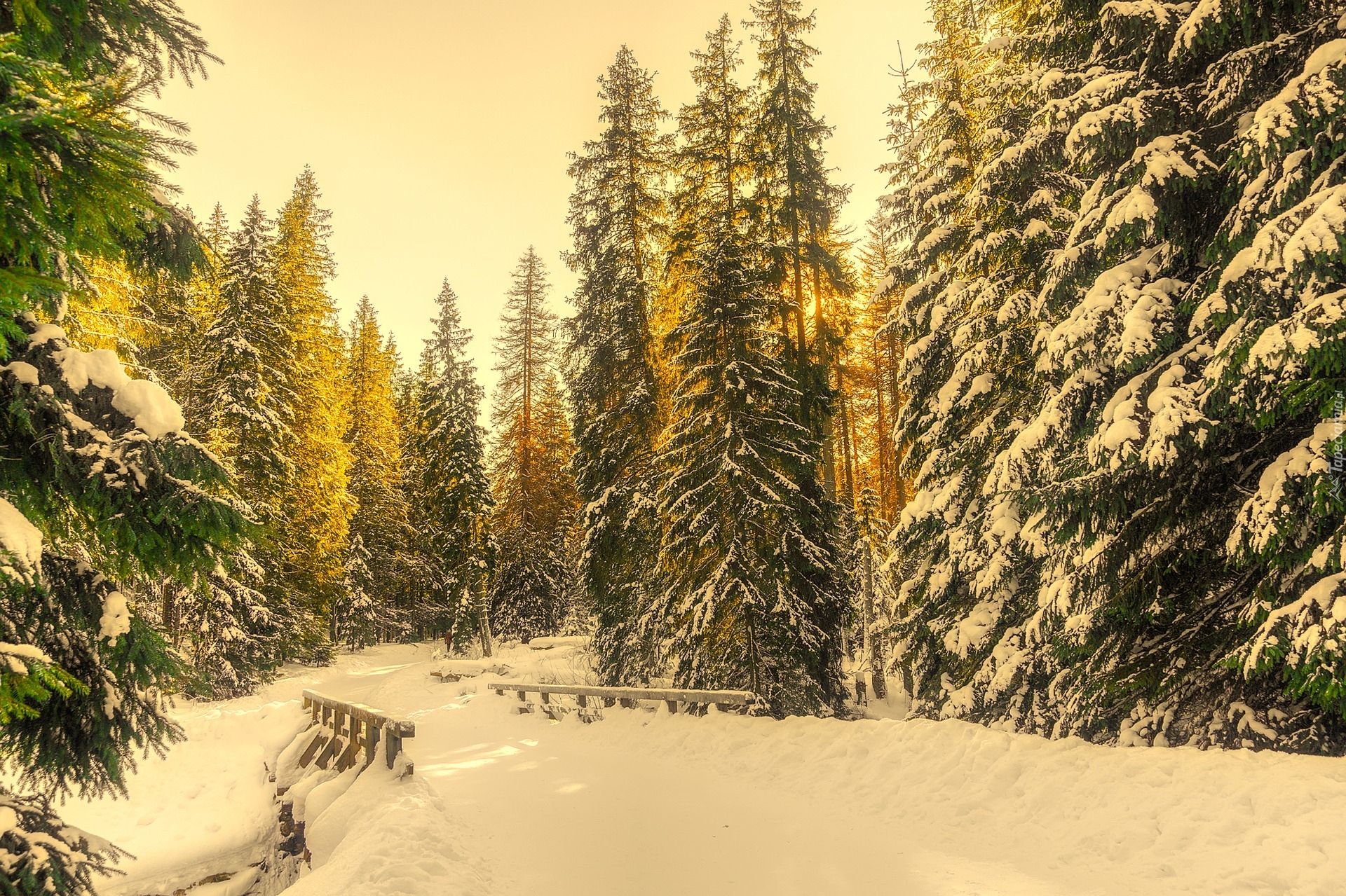 Zima, Drzewa, Las, Mostek, Śnieg