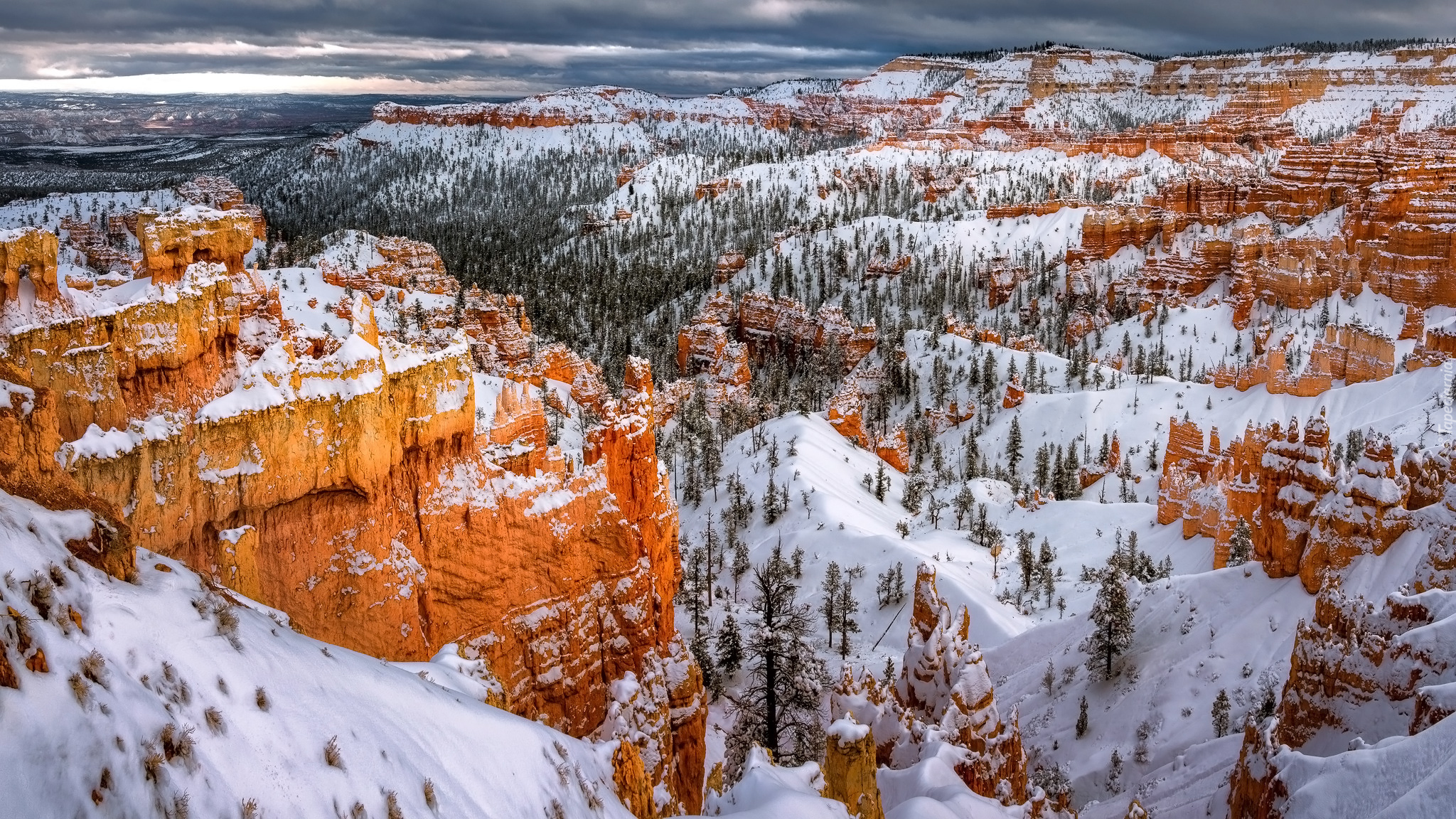 Zima, Śnieg, Góry, Skały, Drzewa, Park Narodowy Bryce Canyon, Utah, Stany Zjednoczone