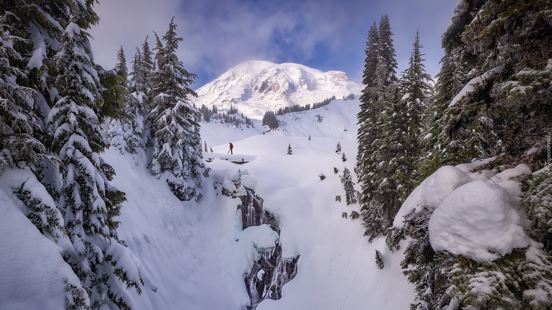 Zaśnieżony, Wodospad, Myrtle Falls, Park Narodowy Mount Rainier, Zima, Drzewa, Góry, Góra, Mount Rainier, Stan Waszyngton, Stany Zjednoczone