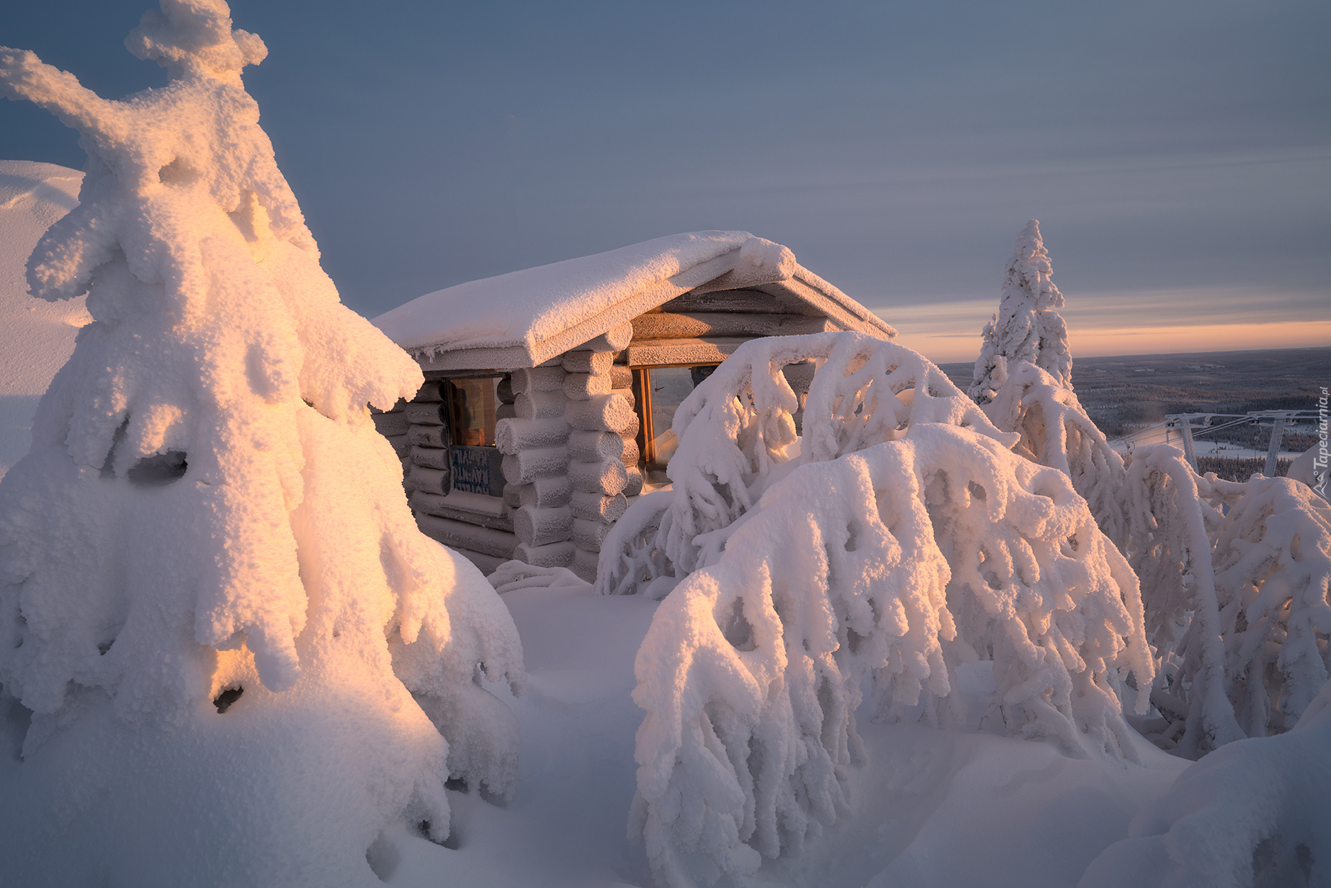 Zima, Drzewa, Drewniany, Dom, Śnieg