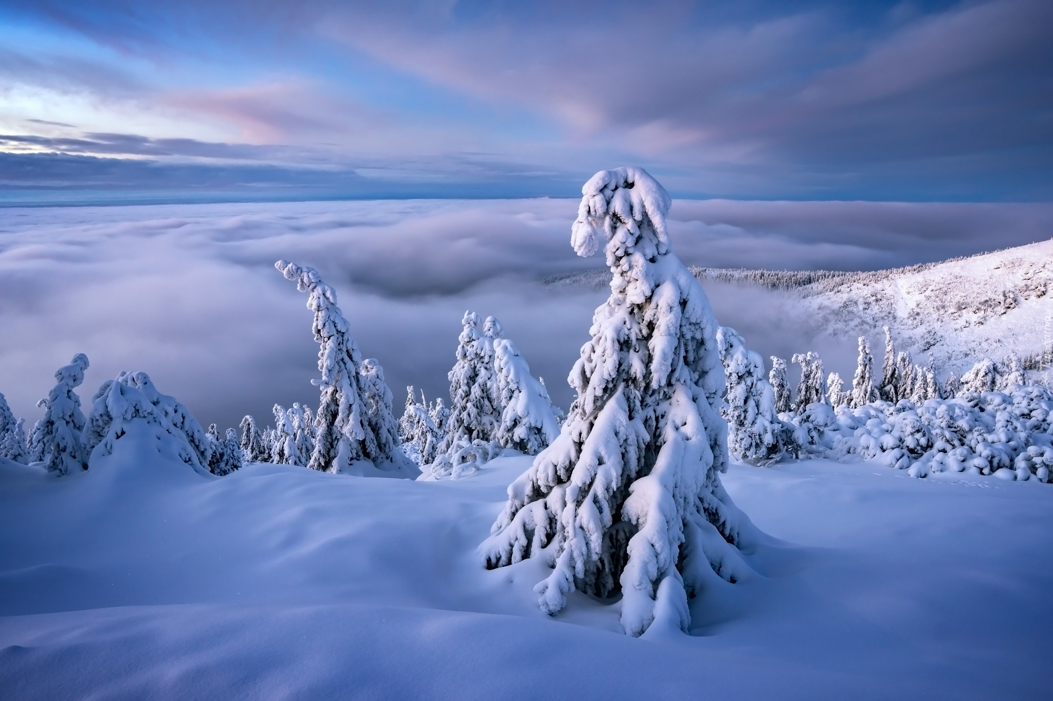 Zima, Śnieg, Drzewa, Mgła, Chmury, Góry