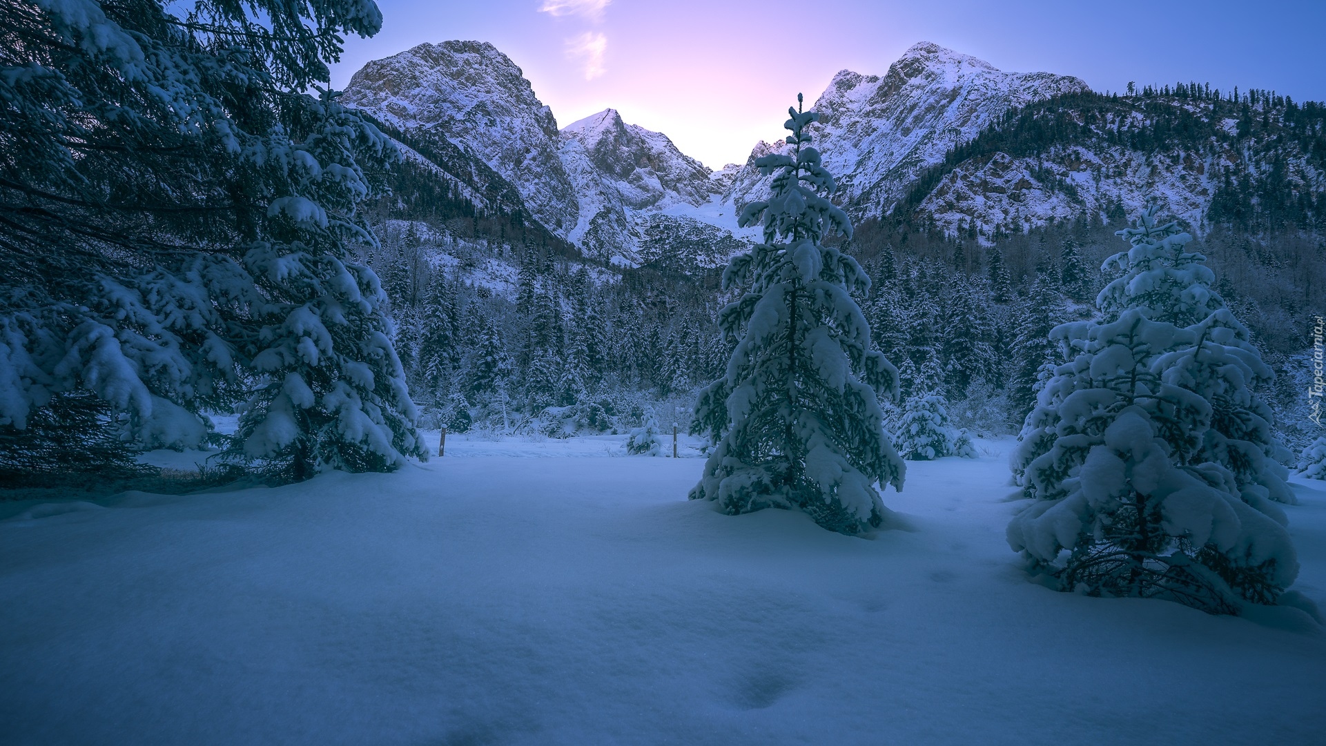 Zima, Góry, Alpy, Ośnieżone, Drzewa, Austria