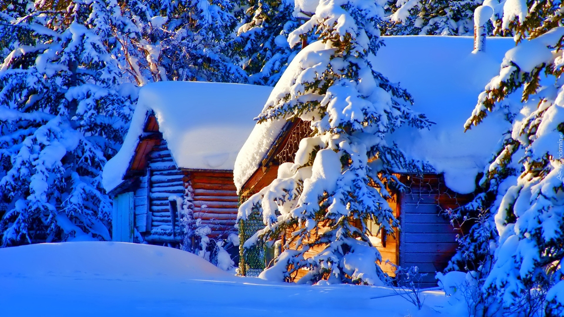 Dom, Zima, Śnieg, Drzewa