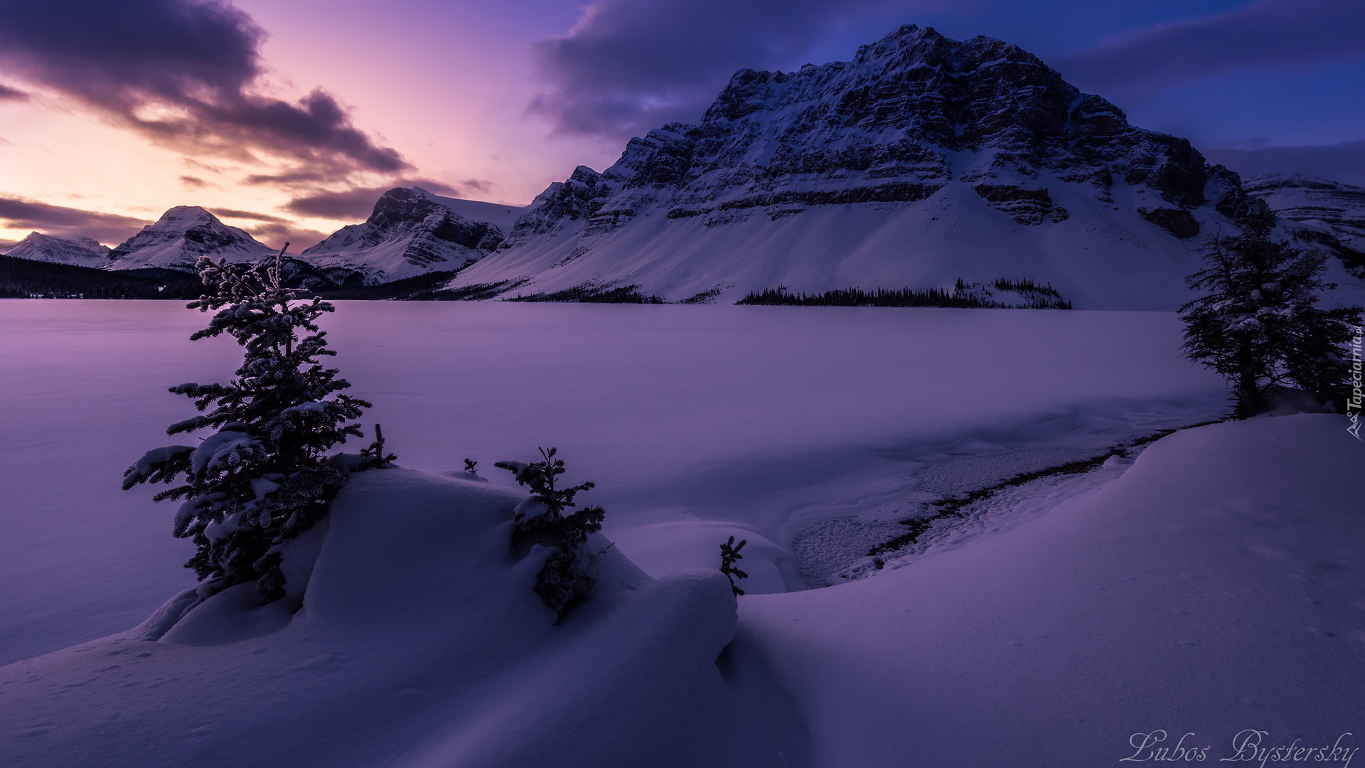 Zima, Góry, Góra Crowfoot Mountain, Zaśnieżone, Jezioro, Bow Lake, Drzewa, Park Narodowy Banff, Alberta, Kanada