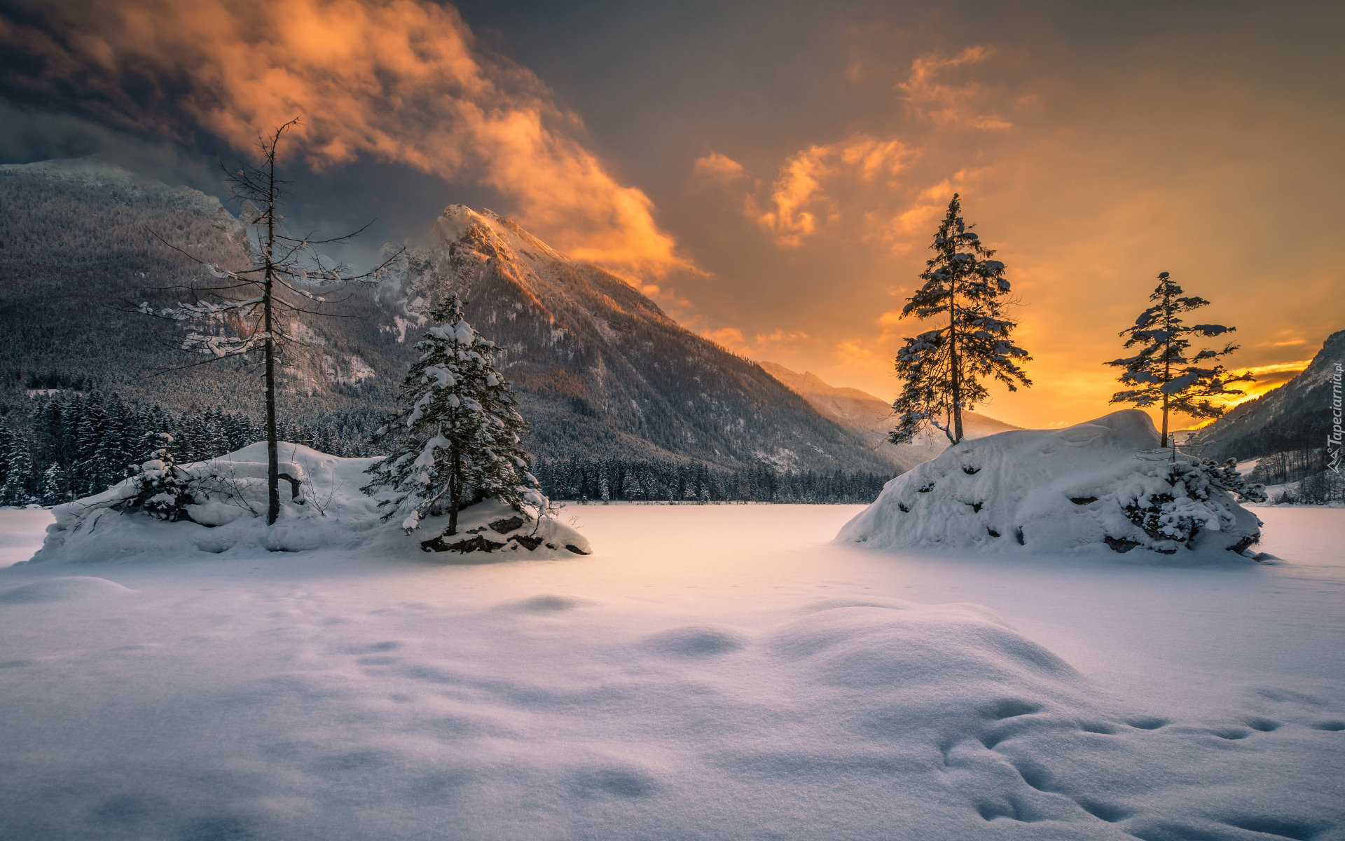 Zima, śnieg, Drzewa, Zachód słońca, Góry Alpy, Jezioro Hintersee, Bawaria, Niemcy