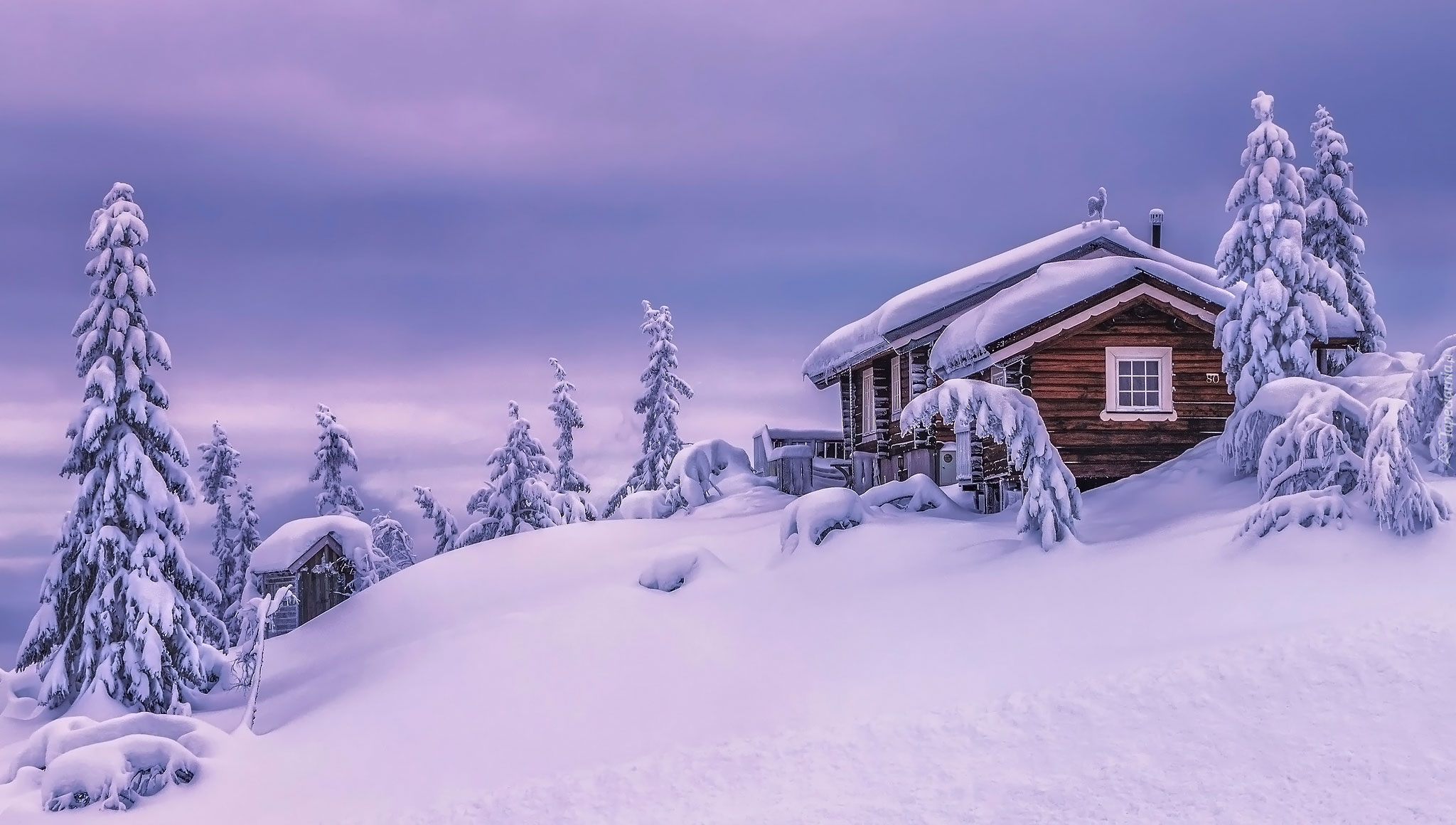 Zima, Ośnieżone, Drzewa, Dom, Valdres, Norwegia