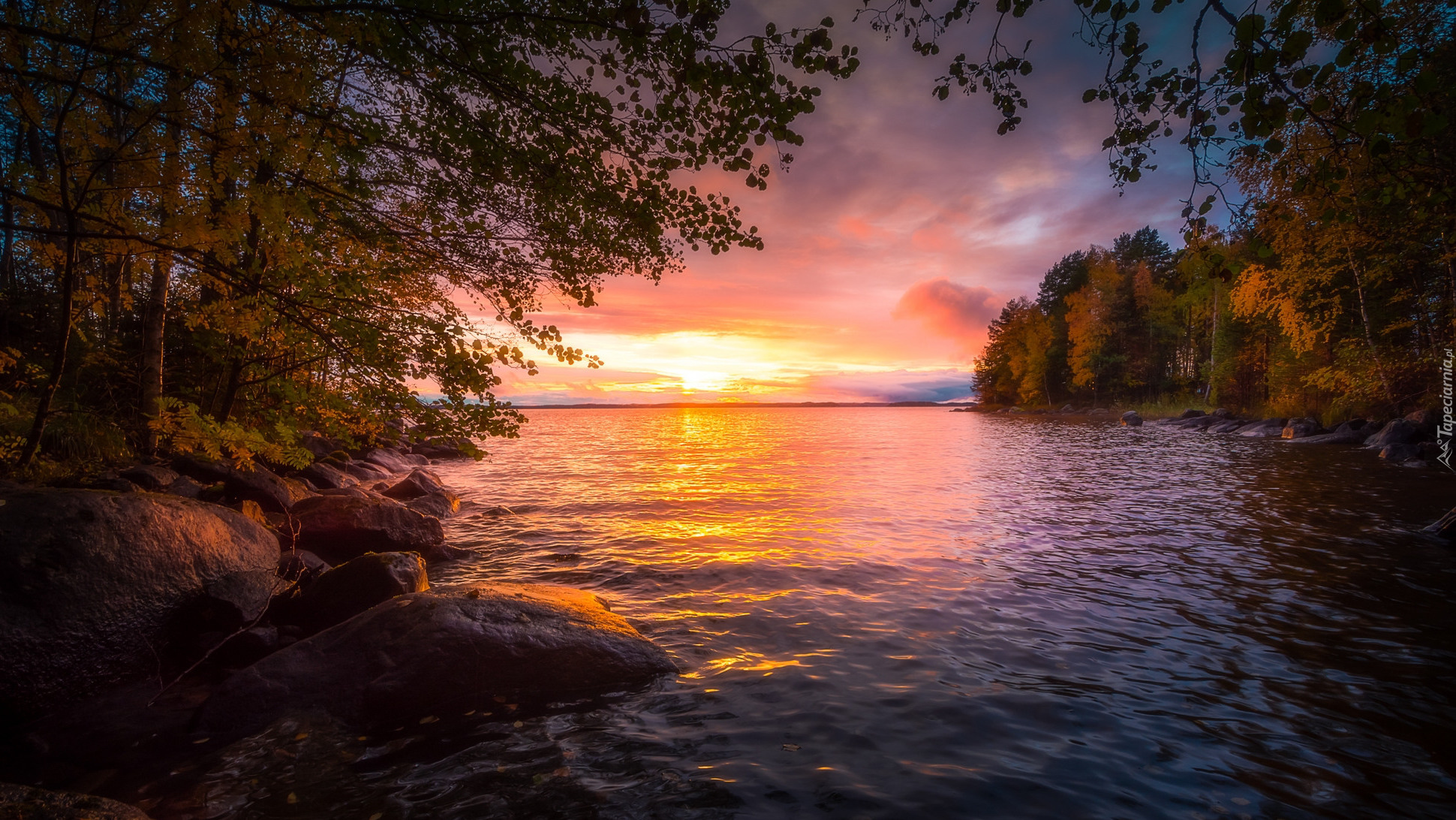Finlandia, Region Pirkanmaa, Jezioro Näsijärvi, Zachód słońca, Drzewa, Kamienie