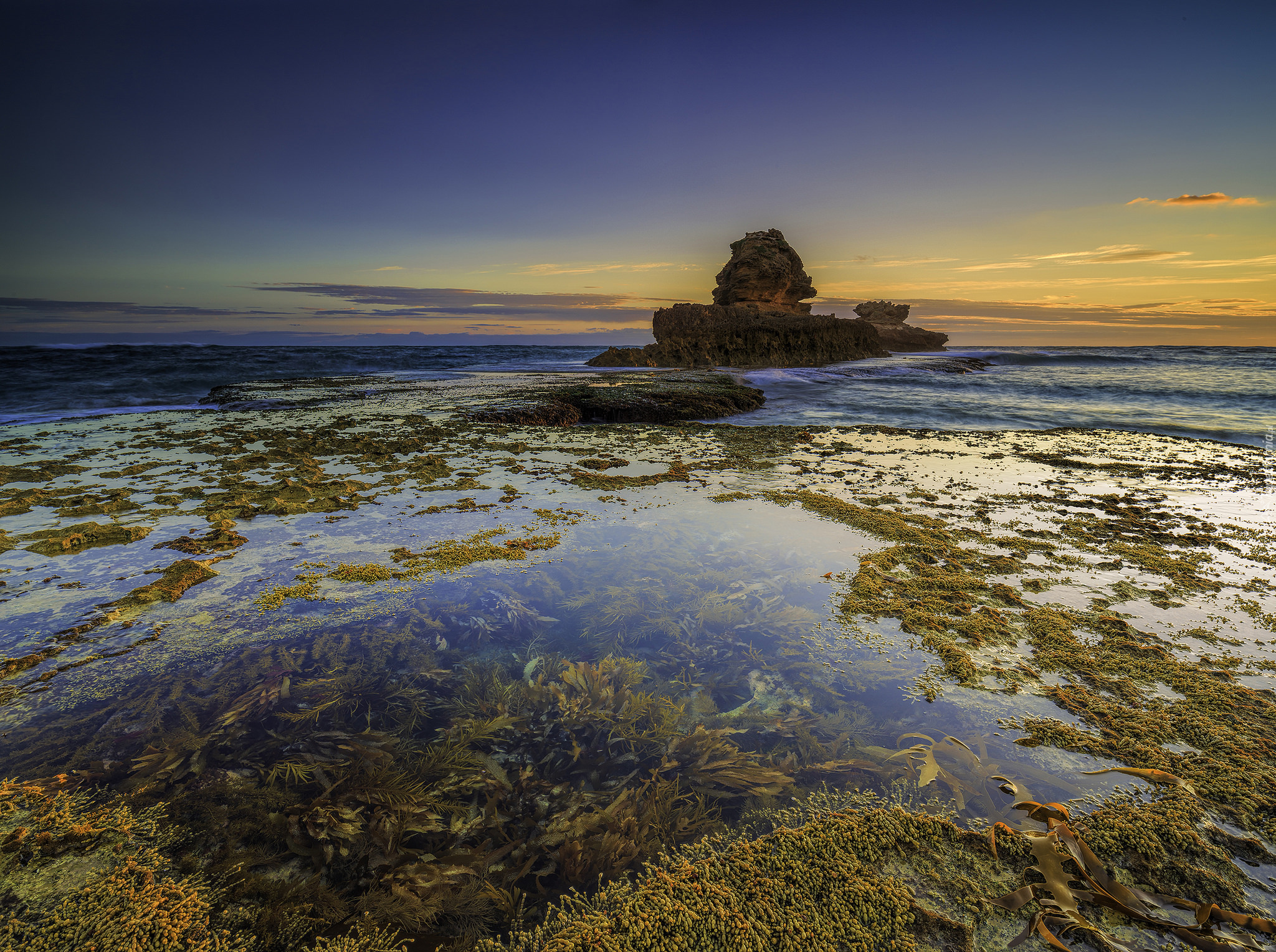 Australia, Sorrento, Park Narodowy Mornington Peninsula, Zatoka Bay of Islands, Morze, Wodorosty, Skały