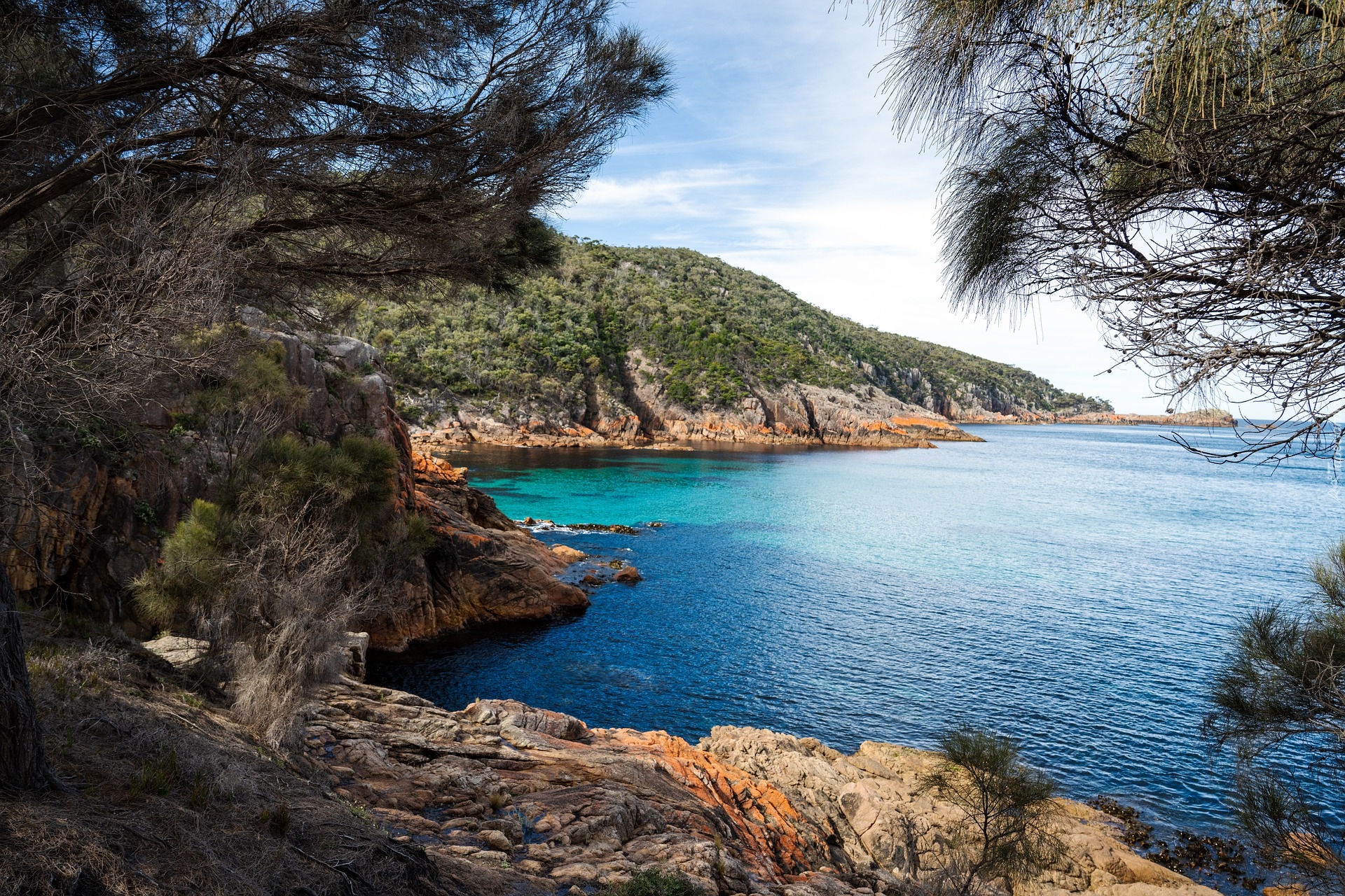 Morze, Skały, Drzewa, Zatoka, Sleepy Bay, Wybrzeże, Park Narodowy Freycineta, Tasmania, Australia