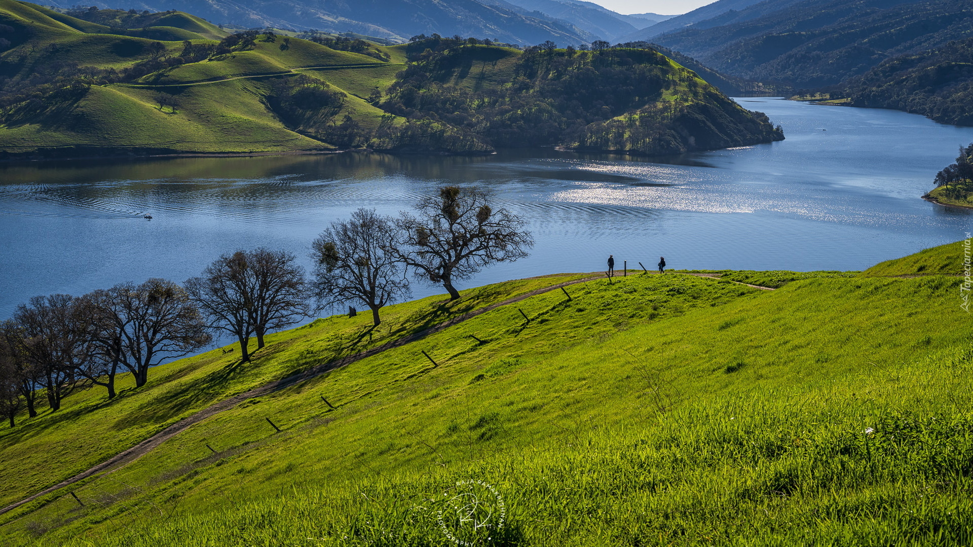 Jezioro, Zbiornik, Del Valle Lake, Góry, Drzewa, Kalifornia, Stany Zjednoczone