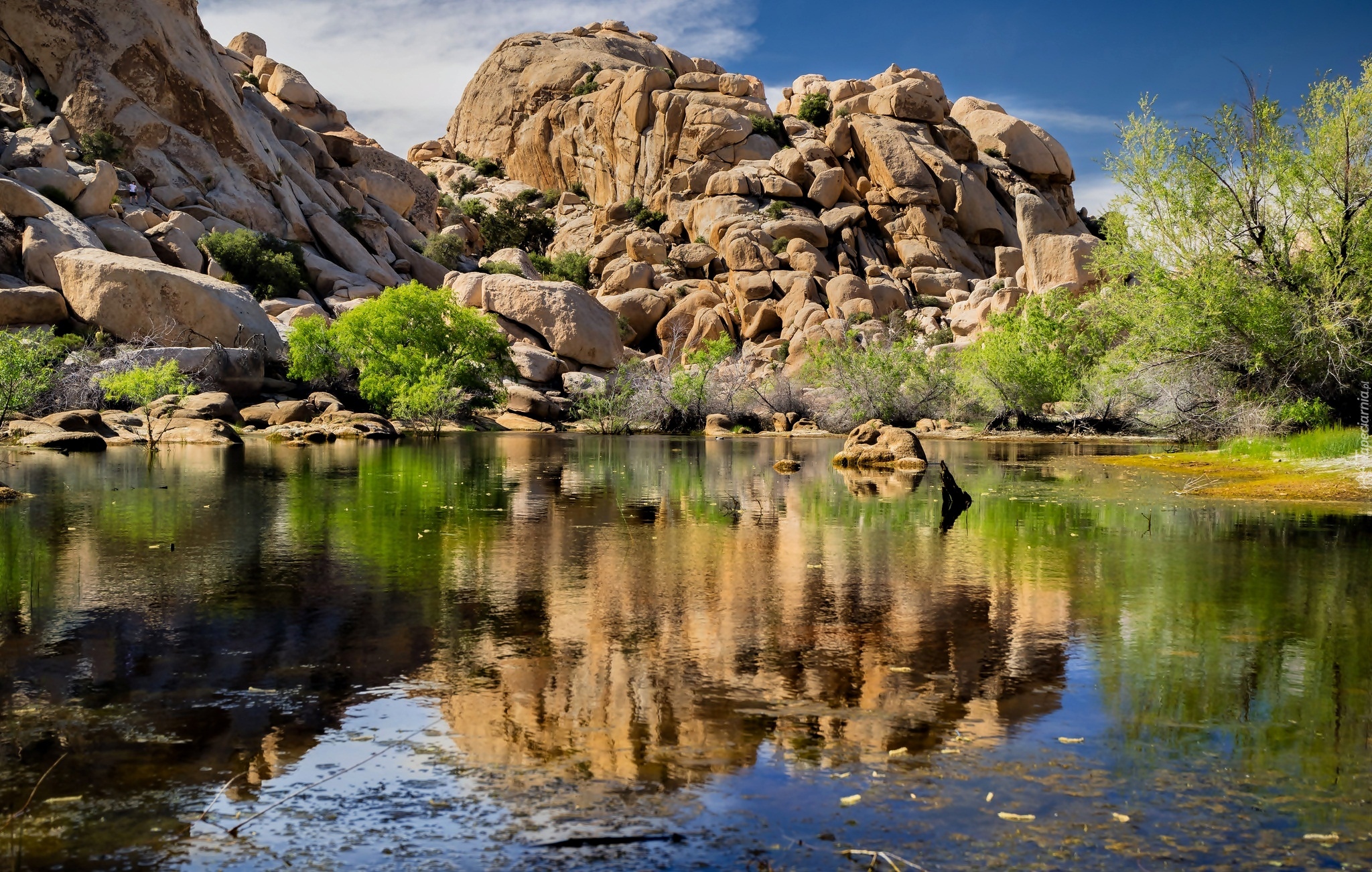 Stany Zjednoczone, Kalifornia, Park Narodowy Joshua Tree, Jezioro, Zbiornik wodny Barker Dam, Skały, Odbicie