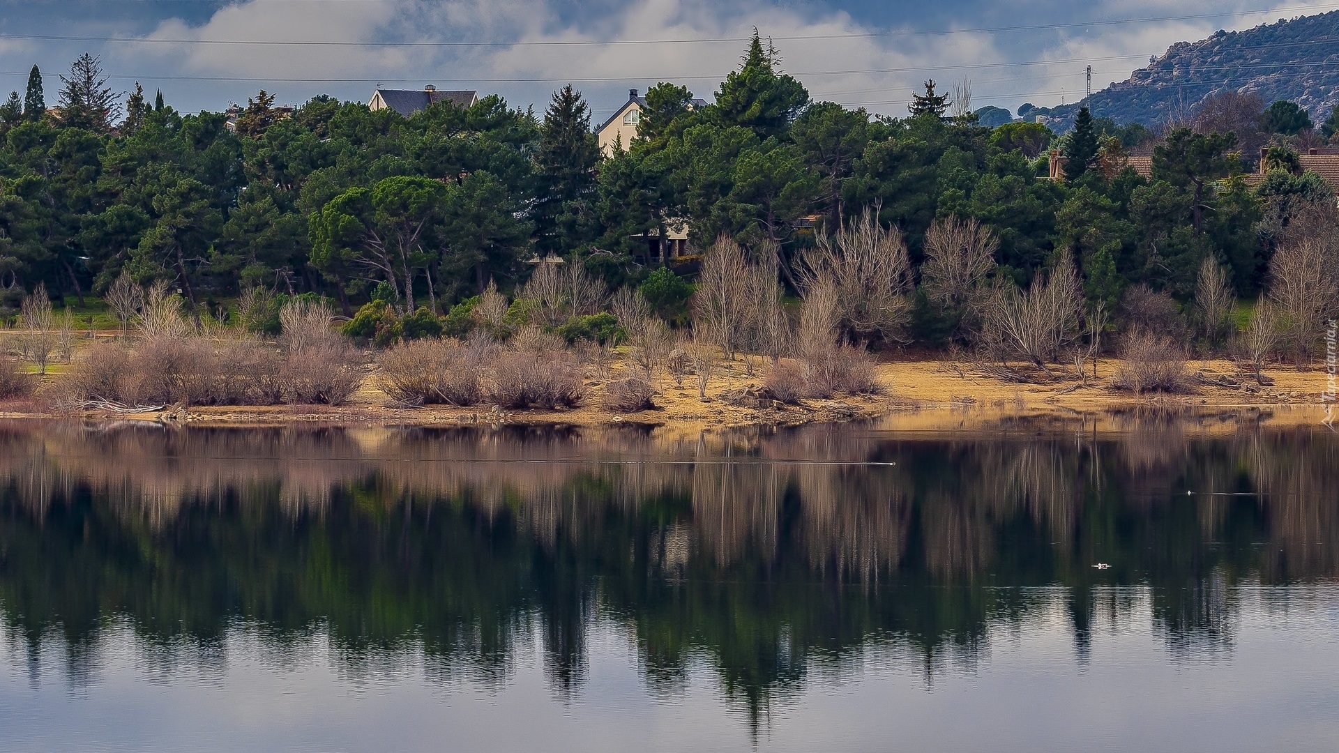 Drzewa, Domy, Zbiornik zaporowy, Jezioro, Navacerrada, Park Narodowy Sierra de Guadarrama, Hiszpania